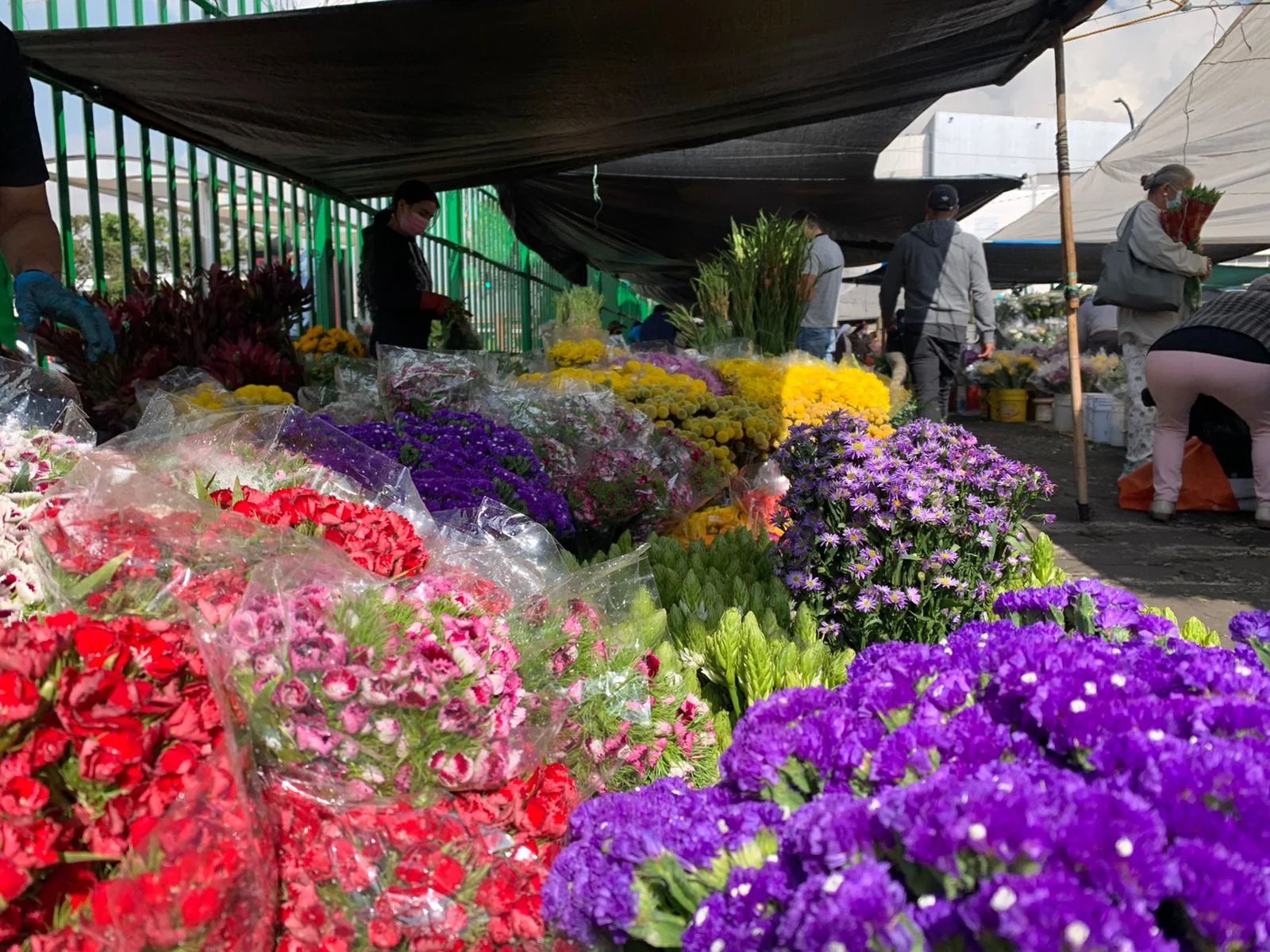 distribuidora de flores en Pereira