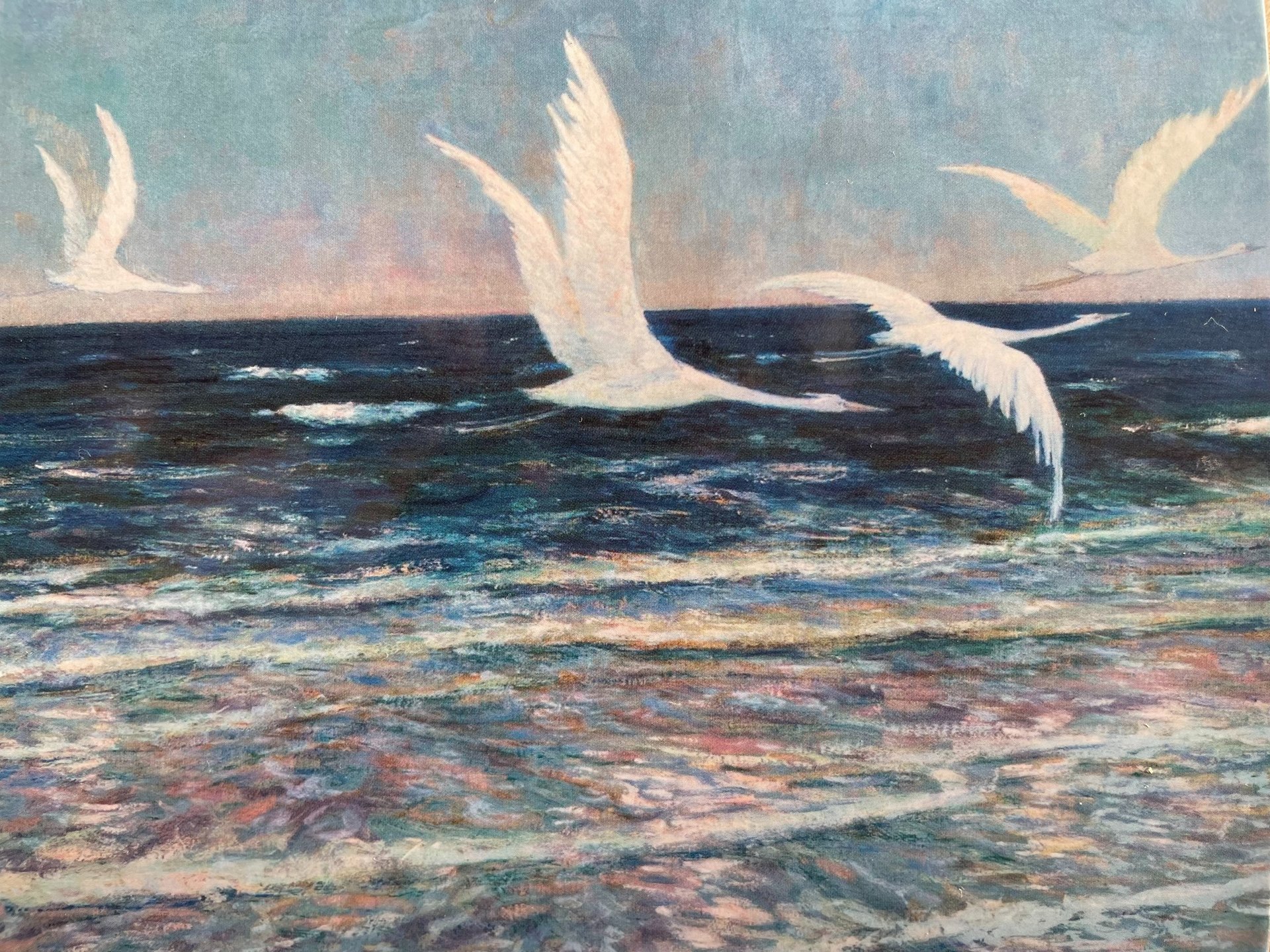 Drei weiße Kraniche im Flug über einem tiefblauen Gewässer in der Abenddämmerung. 