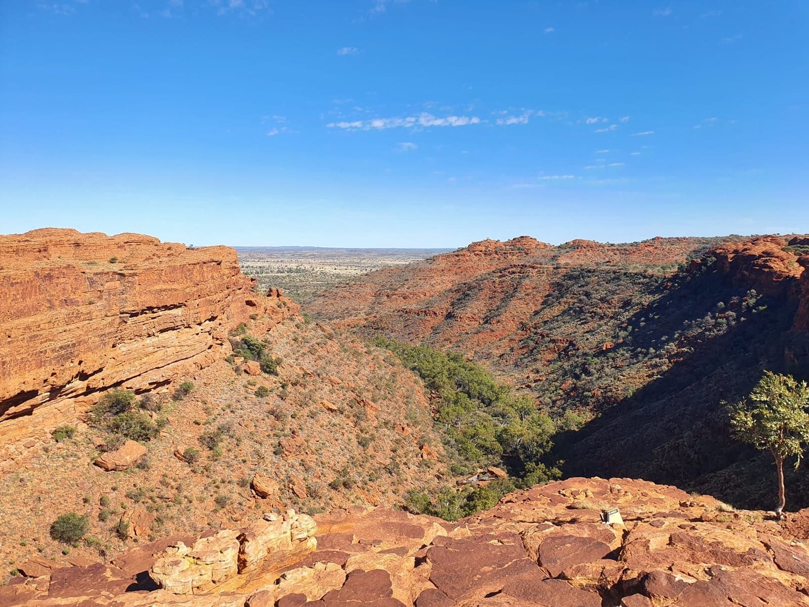 Vistas desde Kings canyon rim walk