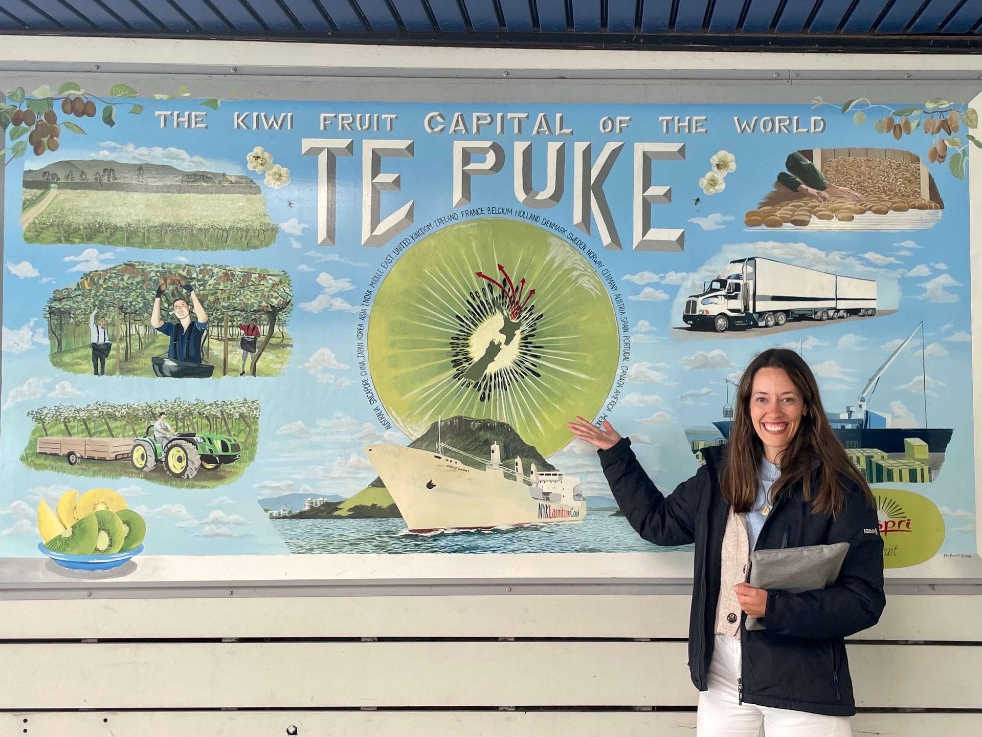 Cartel explicando las temporadas del kiwi en Te Puke, NZ