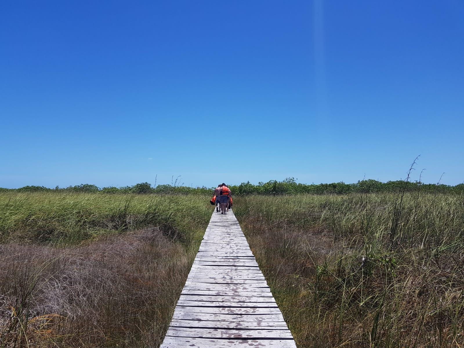 Camino magico a la laguna