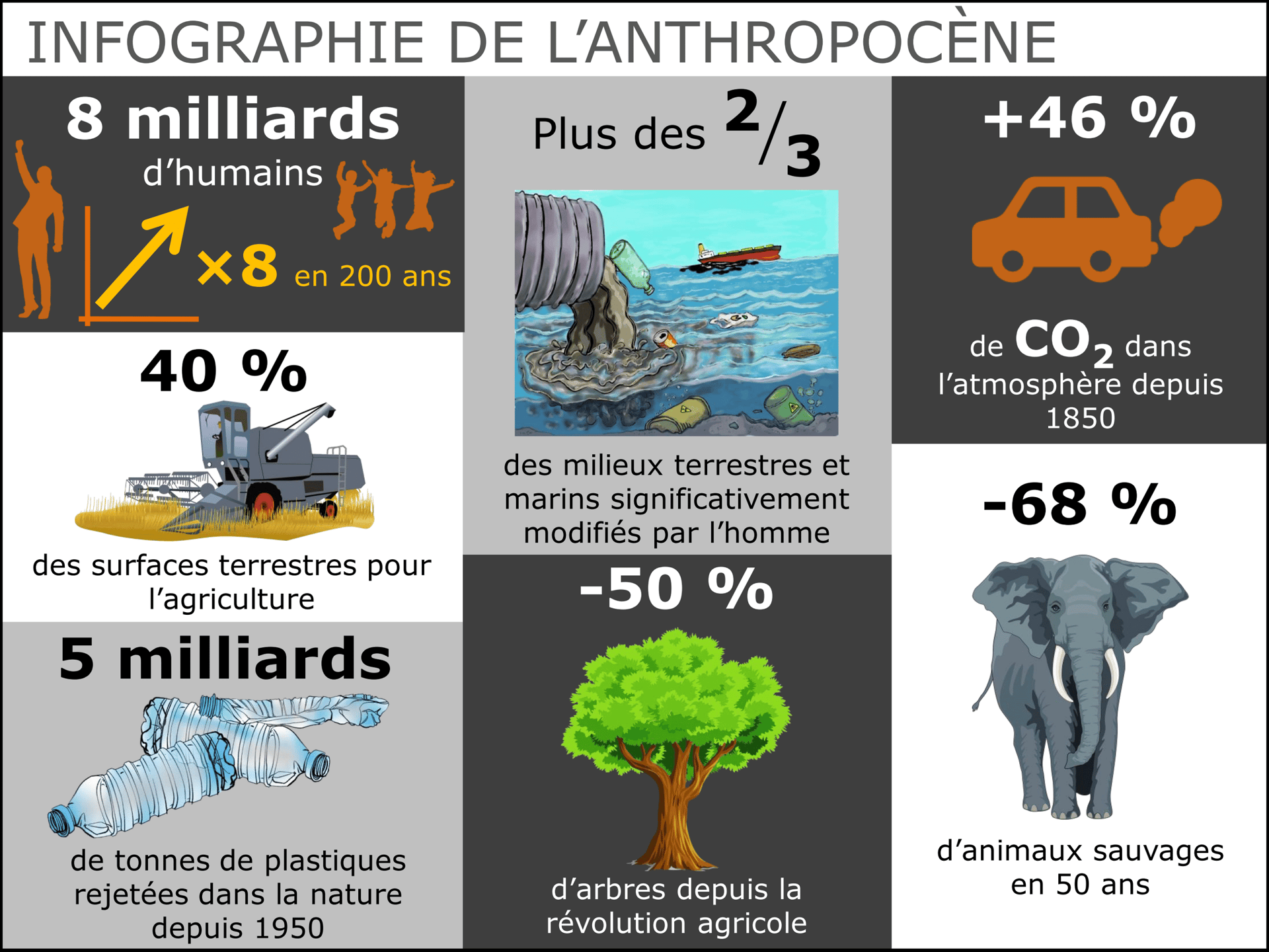 Infographie de l'anthropocène : chiffres clés sur la population, la pollution, le déclin du vivant