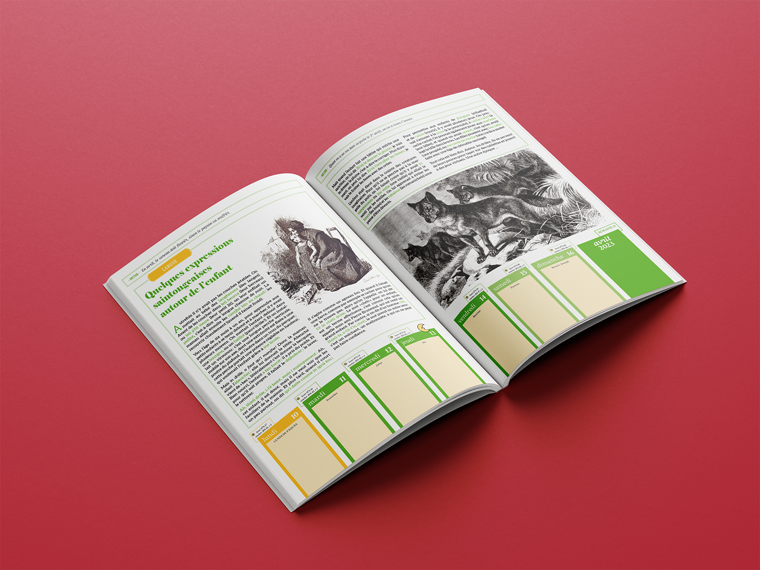 Le Grand Almanach des Charentes : expressions et patois