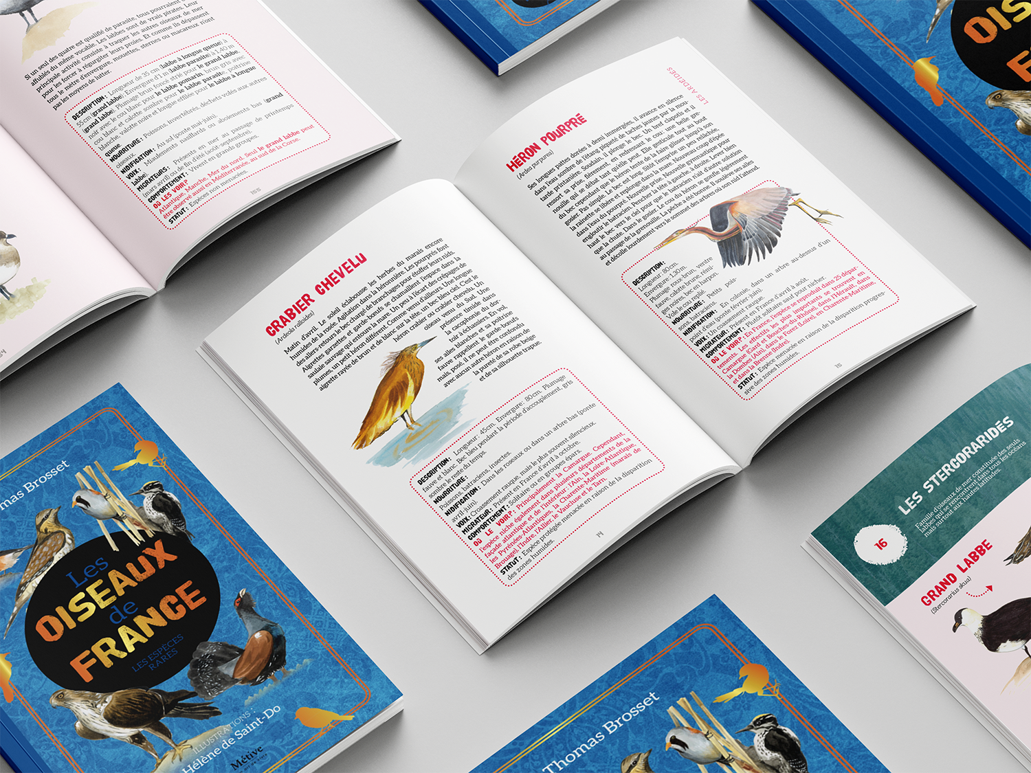 Mise en page du livre Les oiseaux de France - les espèces rares
