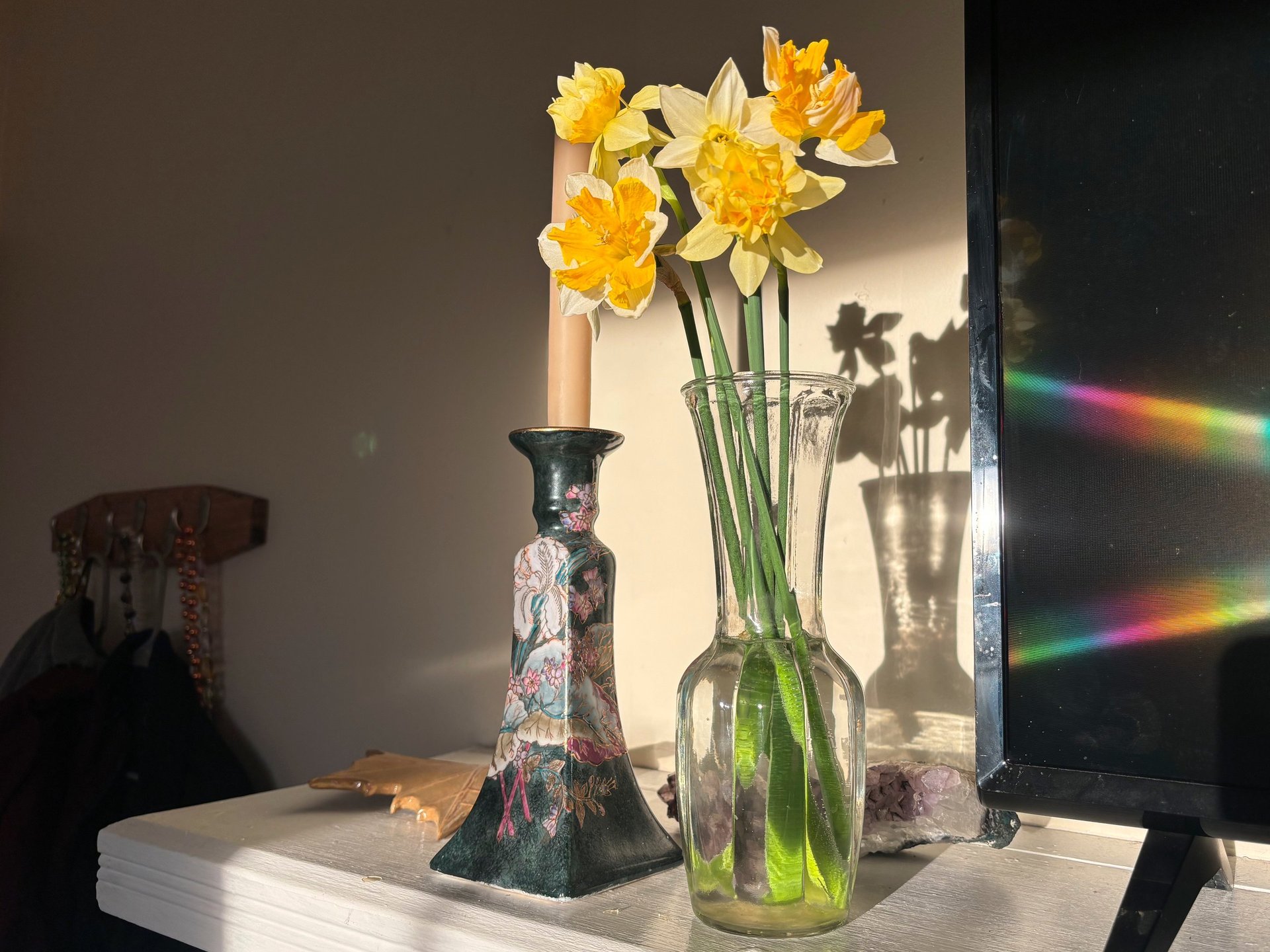 Cut daffodils at Mallow Rose Cottage, March =12