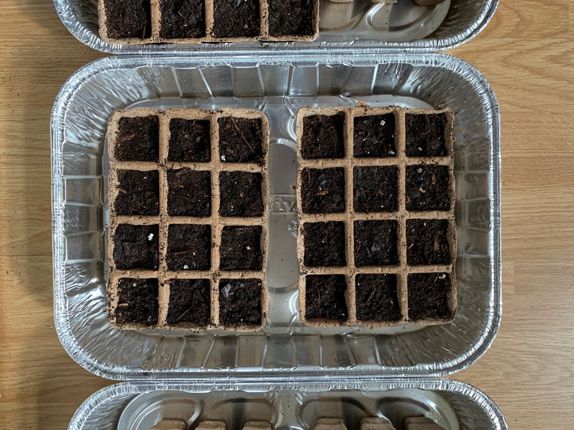 Preparing to sow the first seeds of Spring at Mallow Rose Cottage, Spring 2023