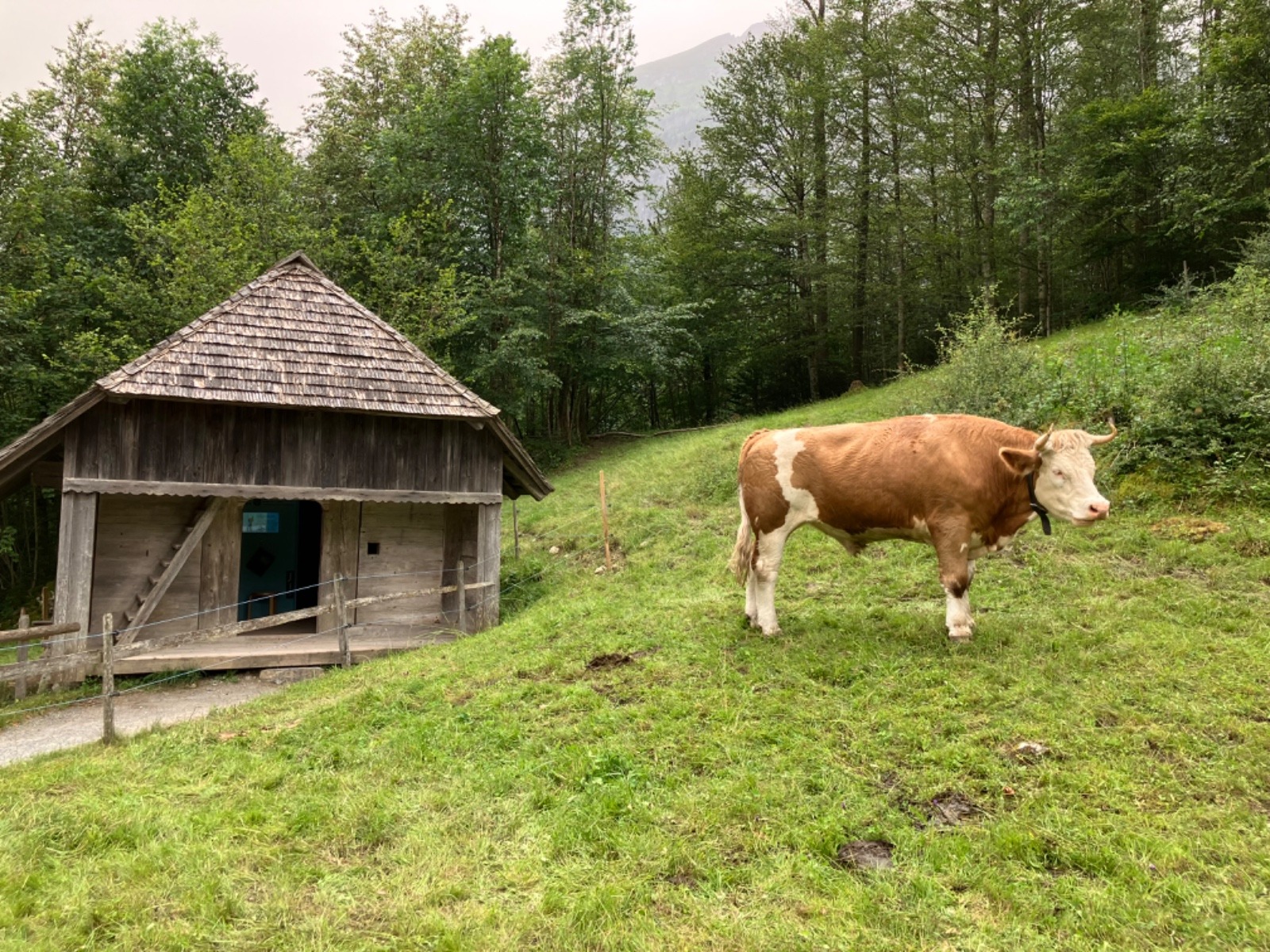 Traditional alpine construction at Ballenberg