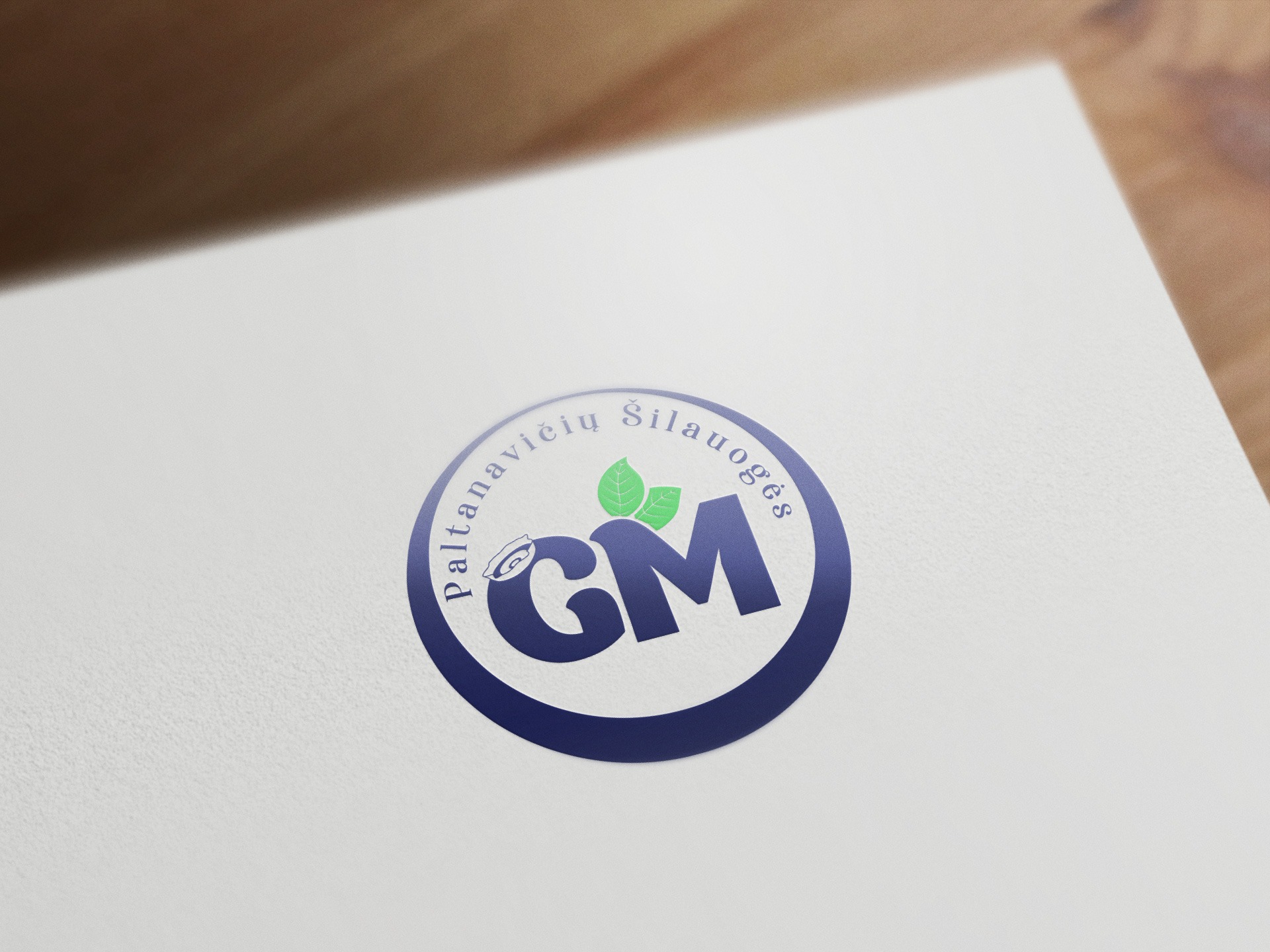 Logotipo sukūrimas įmonei GM