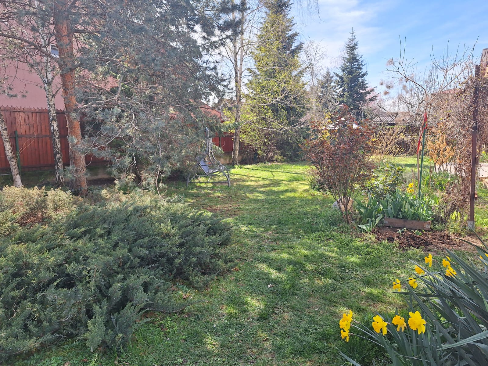 a Juniper border layout