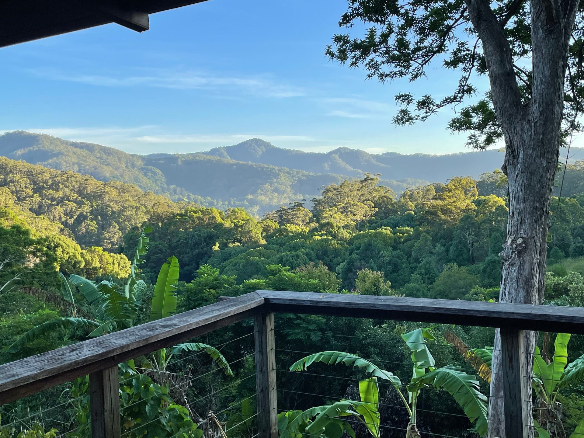 The view at Fiona's studio