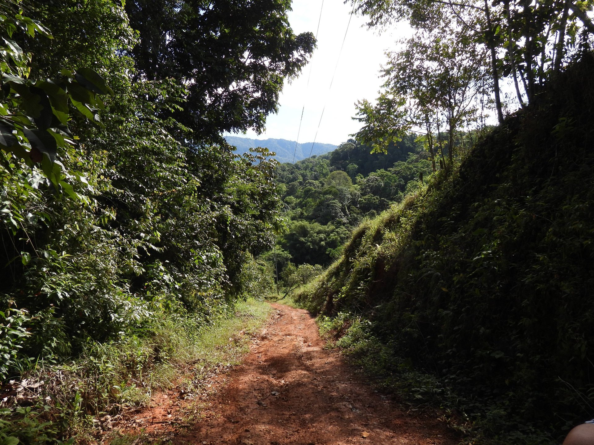 a mountain path in Costa Rica