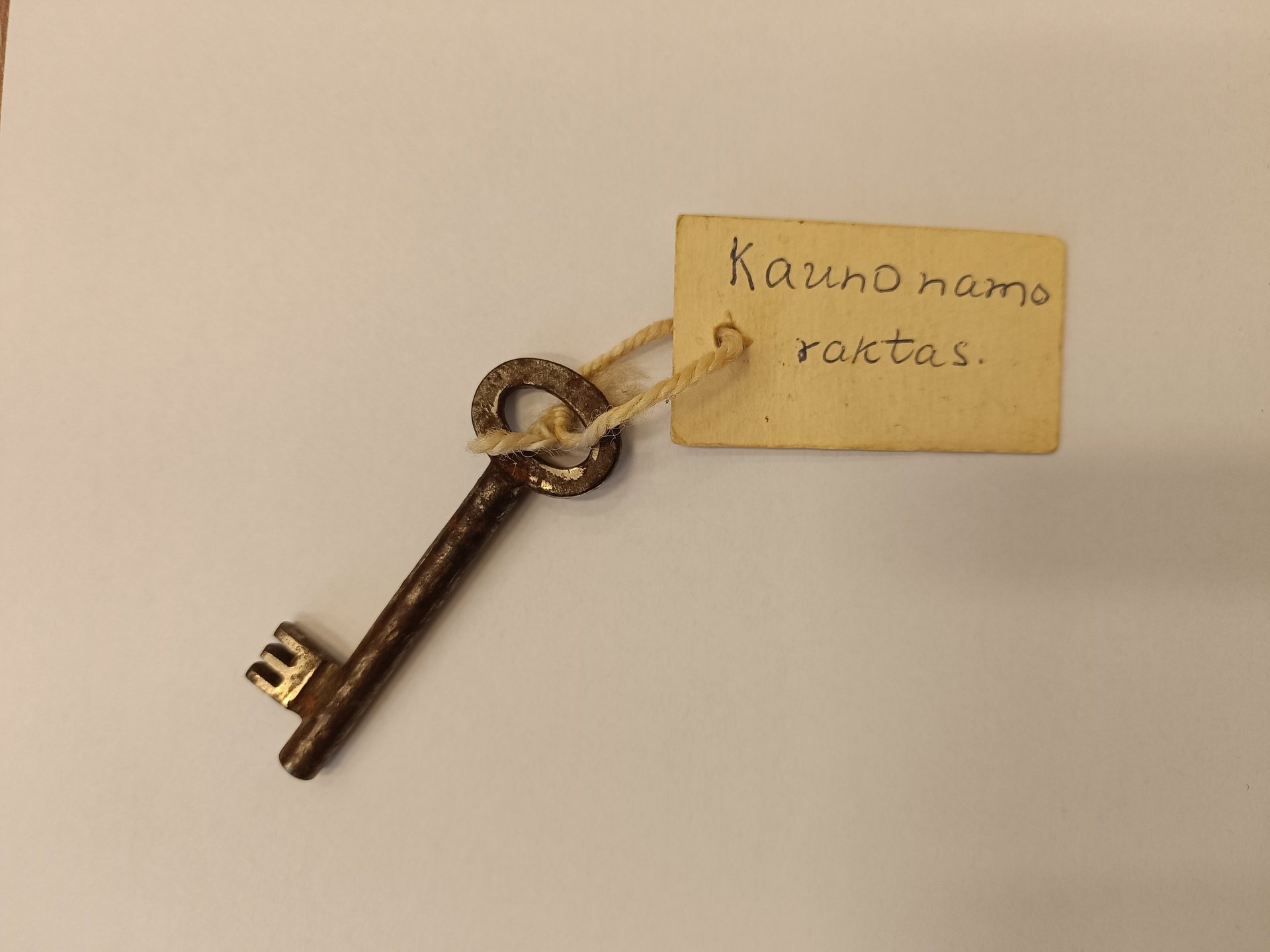 birutės pukeleviciutes namu raktas maironio lietuviu literaturos muzijeaus nuotrauka