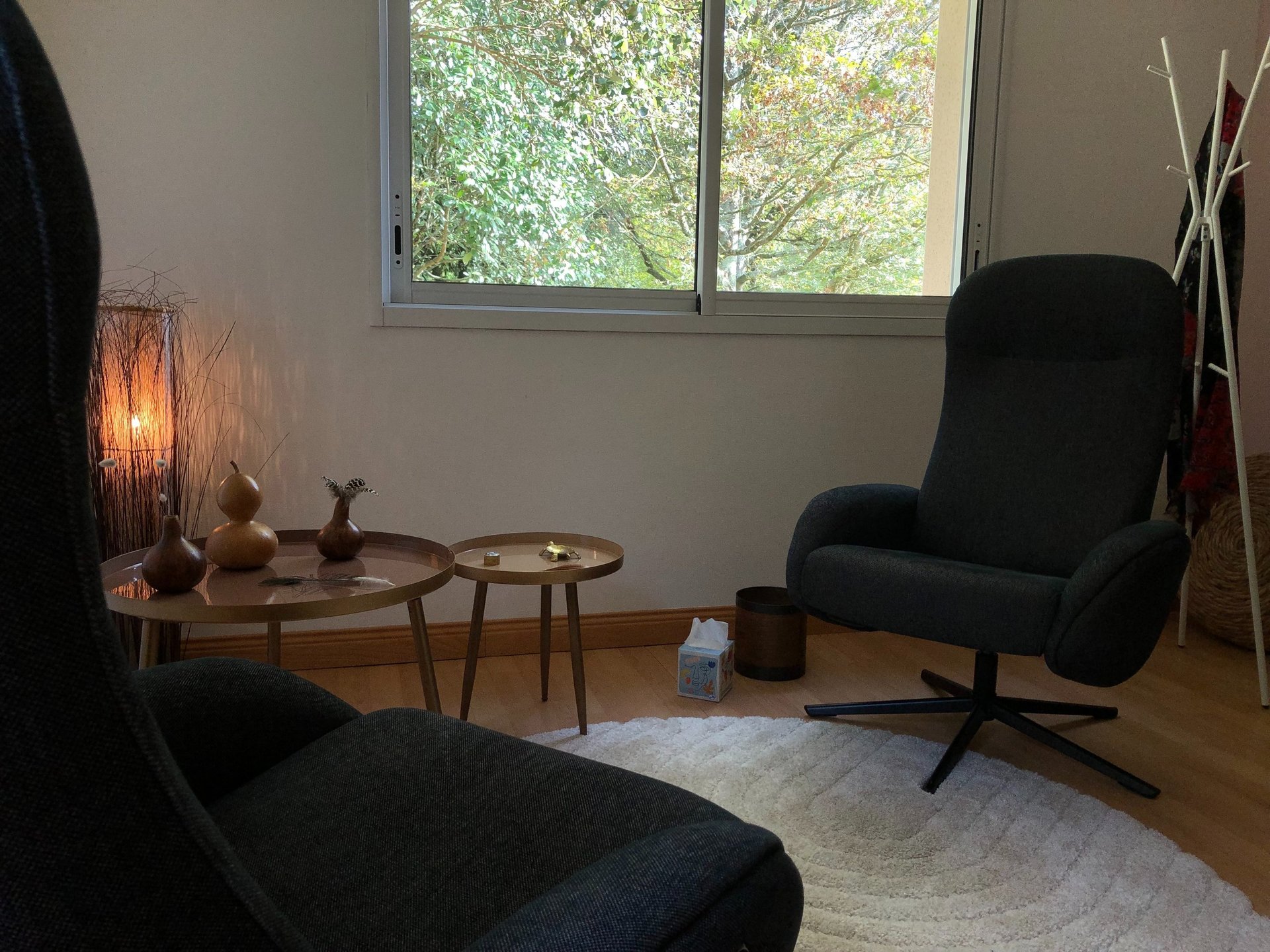 Cabinet psychothérapie proche Saint Mars du désert, Le Cellier, Petit Mars, Couffé, Nort-sur-Erdre