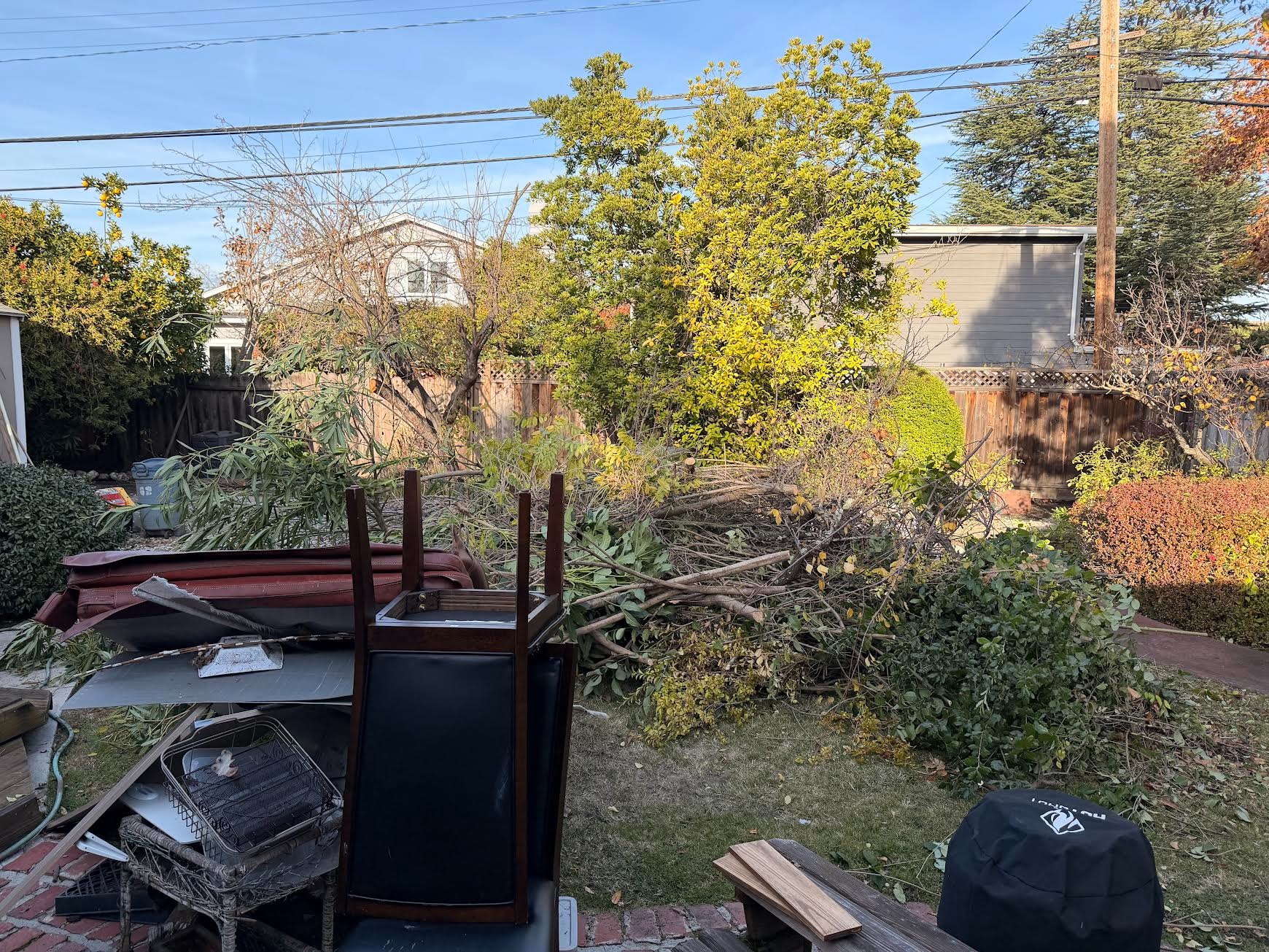Yard debris removal near me in San Francisco 94127 & Oakland.