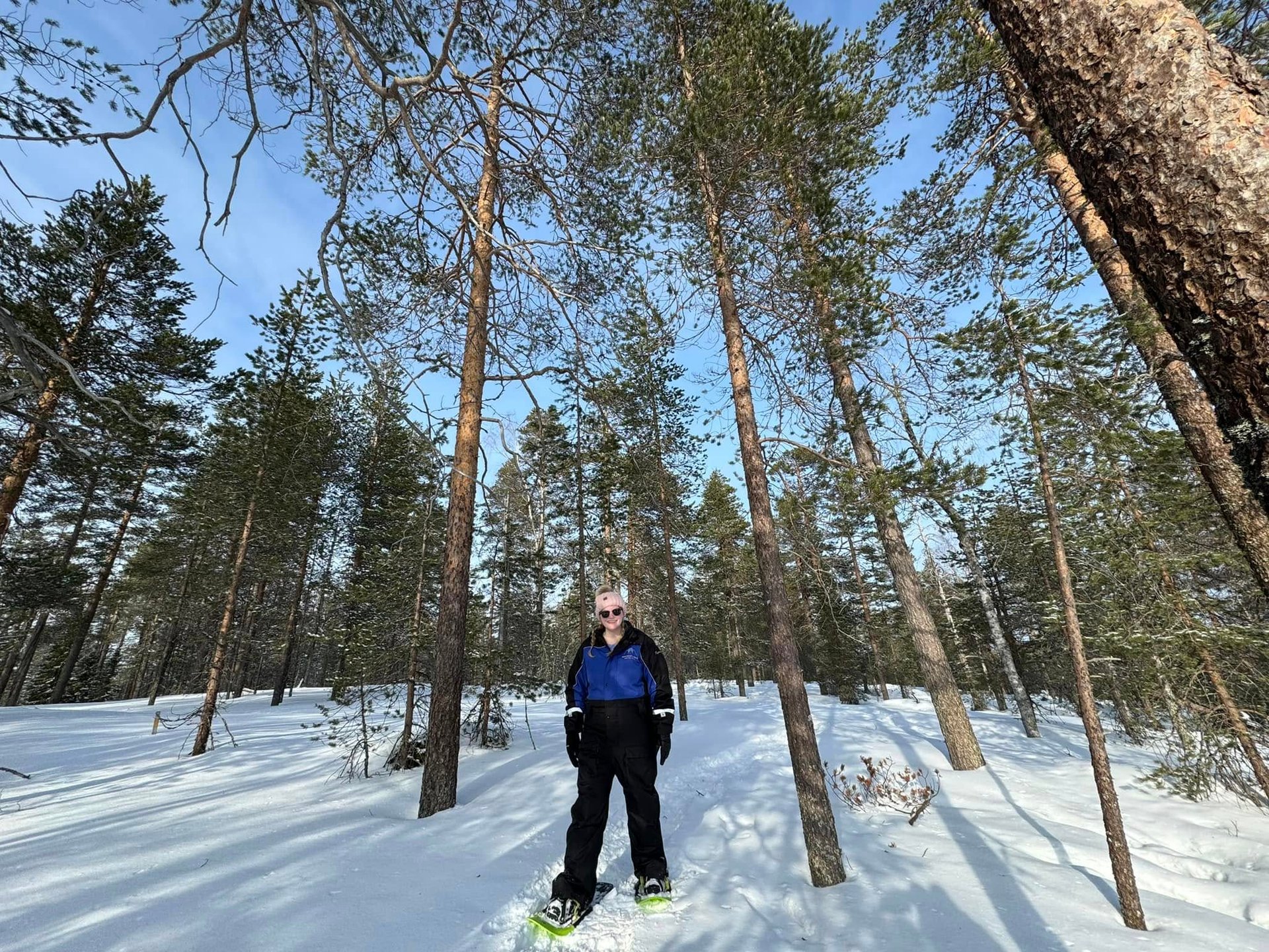 A woman in winter gear snowshoeing through a sunny, snow-covered pine forest in Lapland.