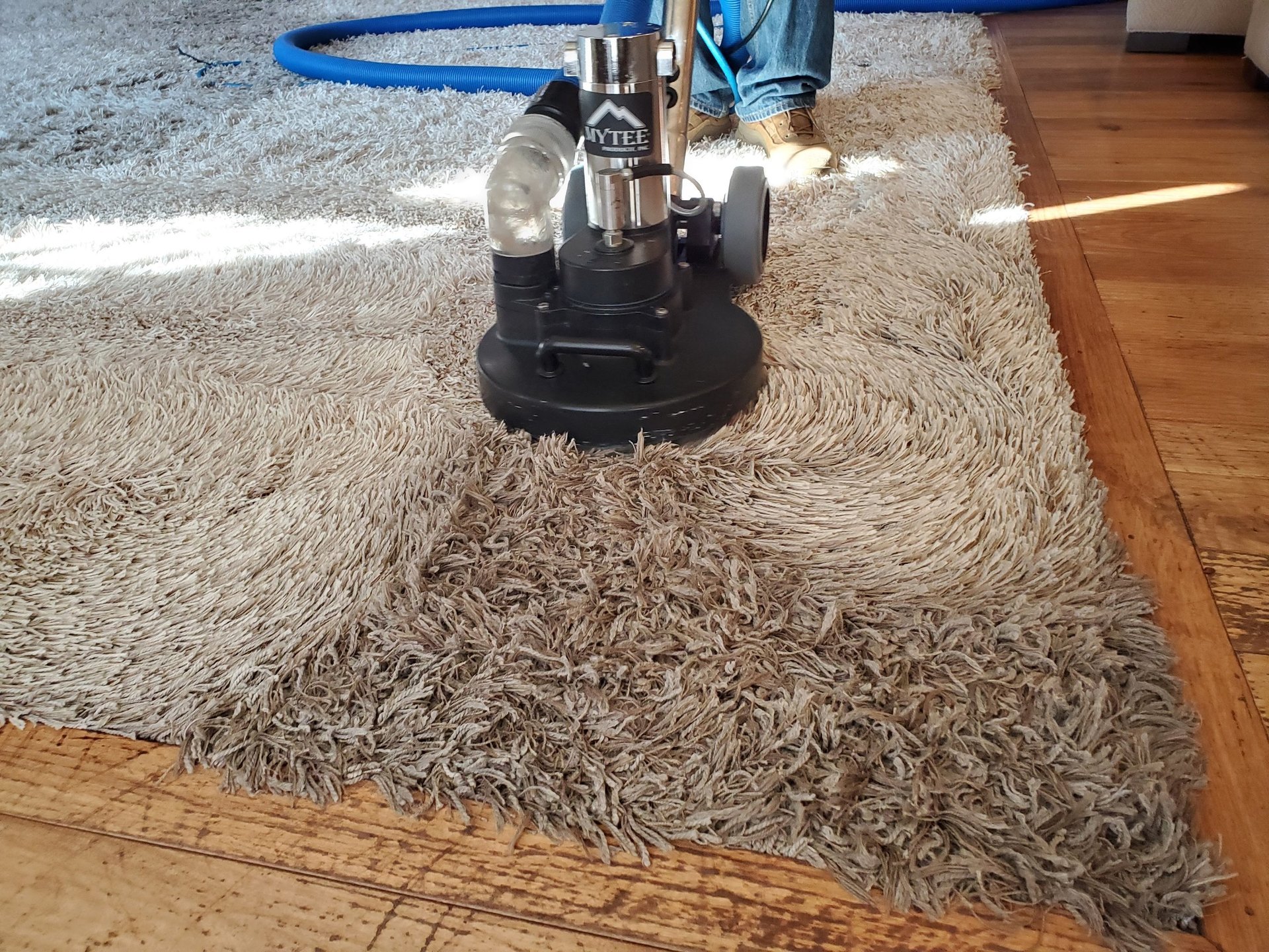 Before & After Photo of Organic Carpet Cleaning with King Organic Clean