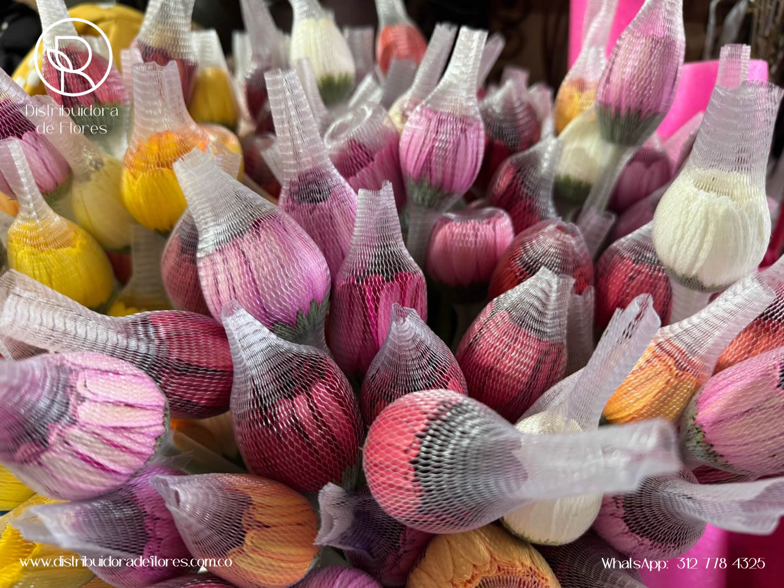 distribuidora de flores manizalez