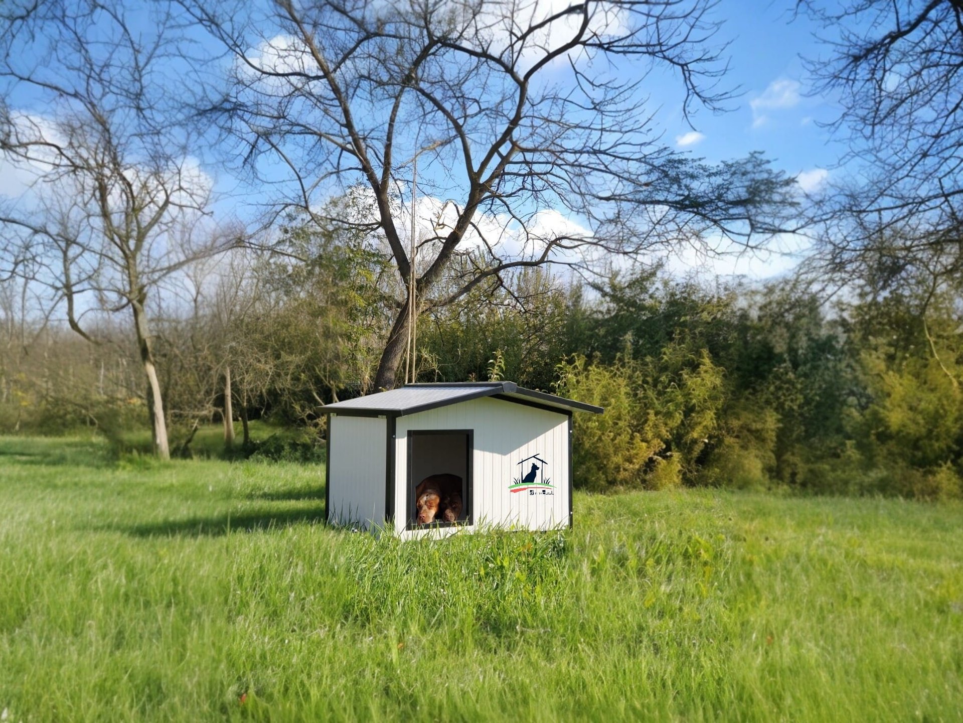 CUCCIA COIBENTATA PER CANI DA ESTERNO