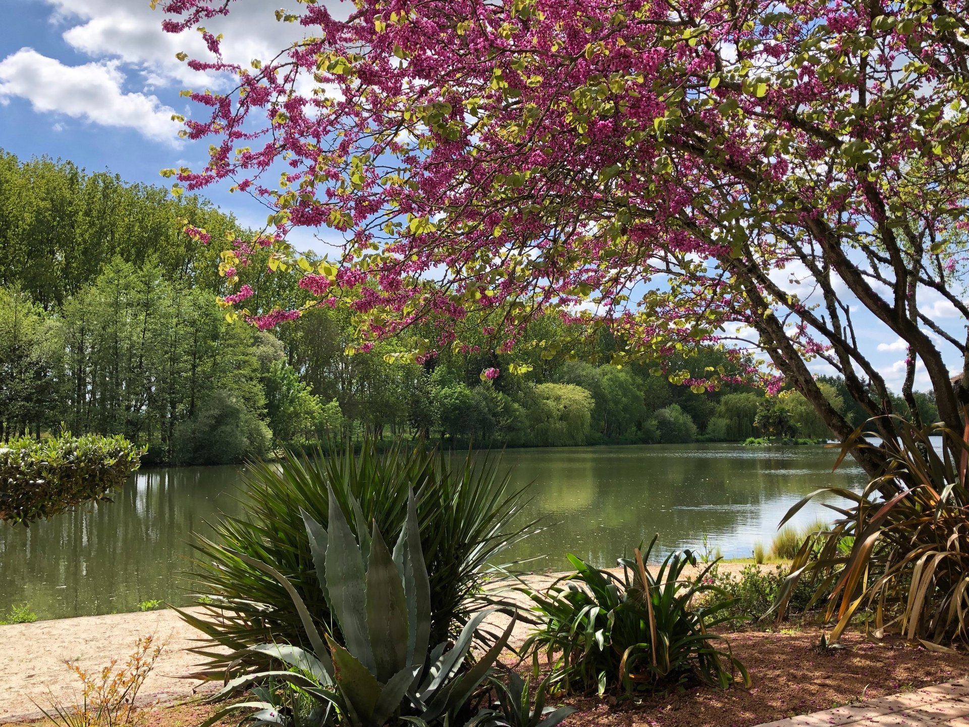 Domaine de Beaucé, Ligné, thérapie, thérapeute, Gestalt, psy, psychothérapie, psychothérapeute