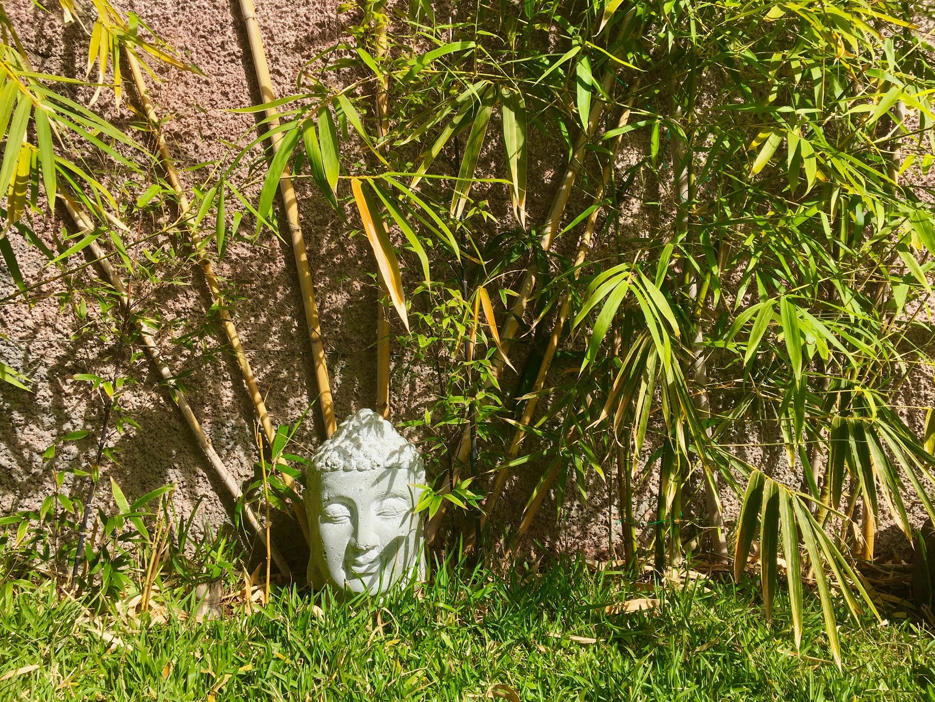 a statue of a buddha head in a bamboo garden at Indigo Star House Madeira