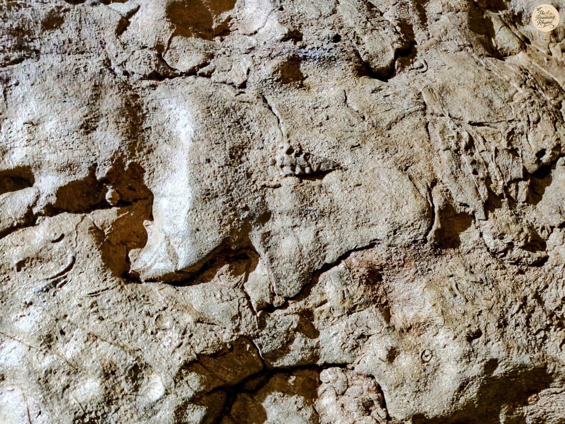 Frozen in Time – Fossil Walls of Arwah Cave, Meghalaya