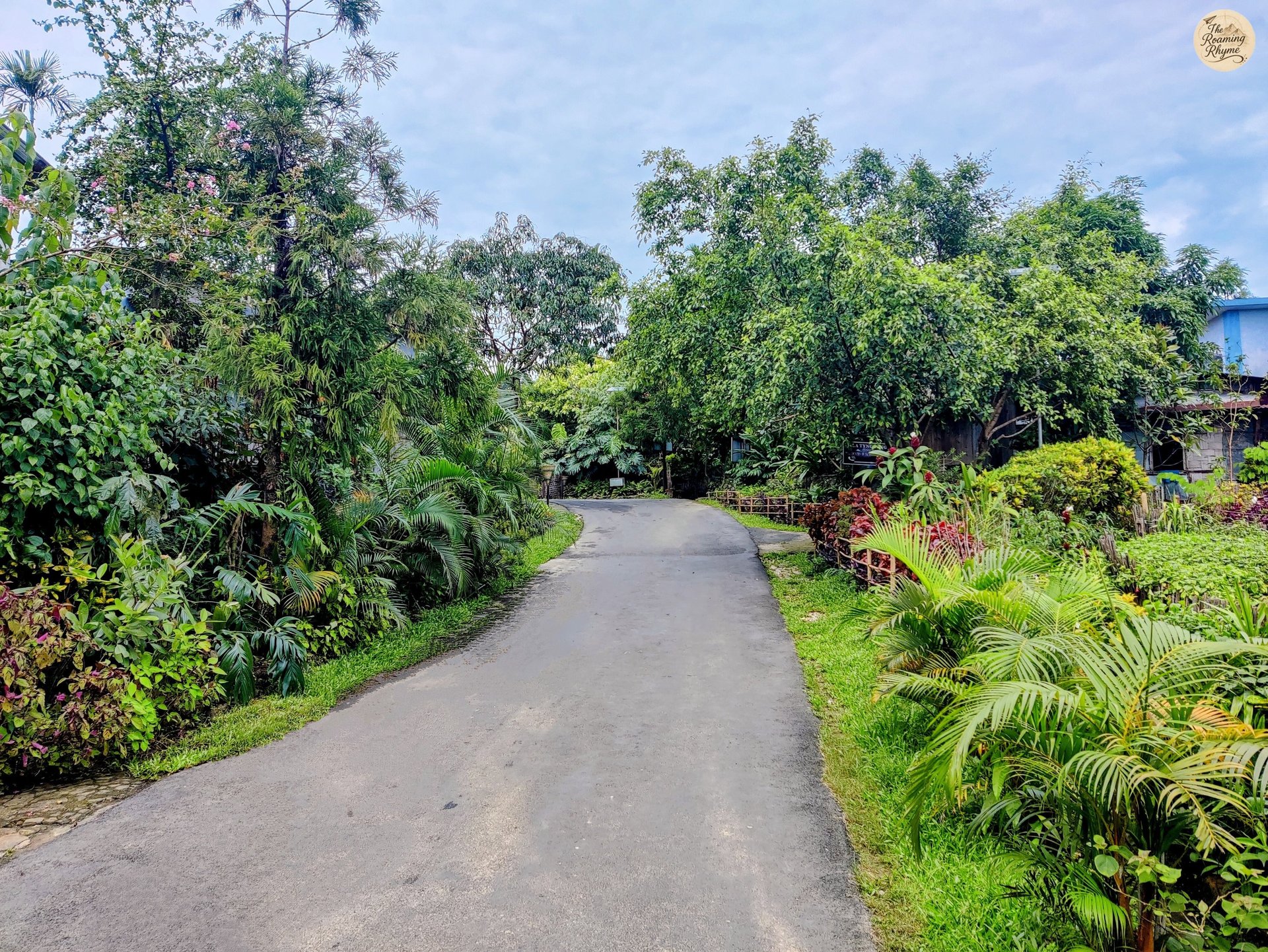 Clean, Green, and Serene – Mawlynnong Village, Meghalaya