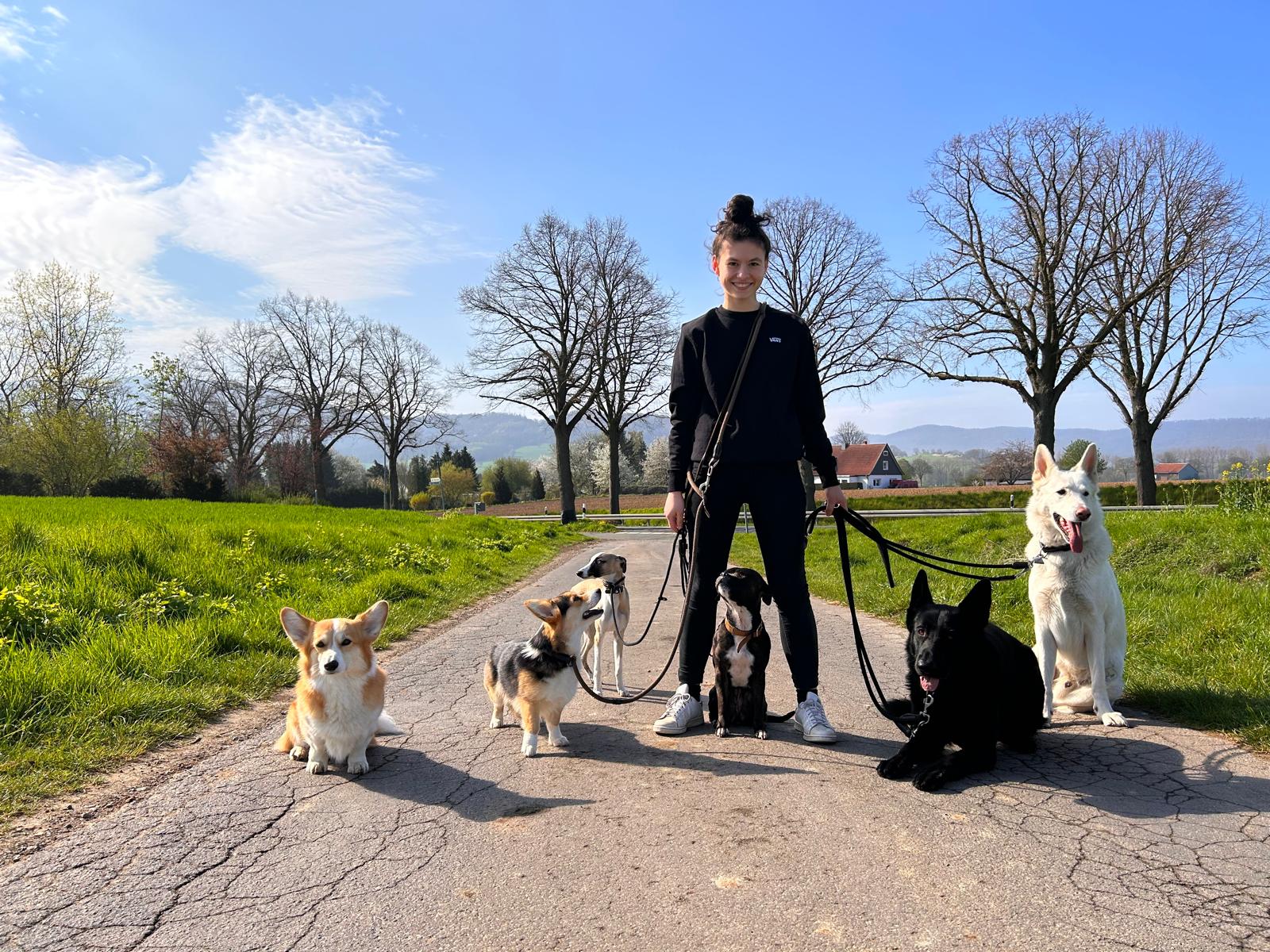 Nella mit 6 Hunden beim Dogwalking