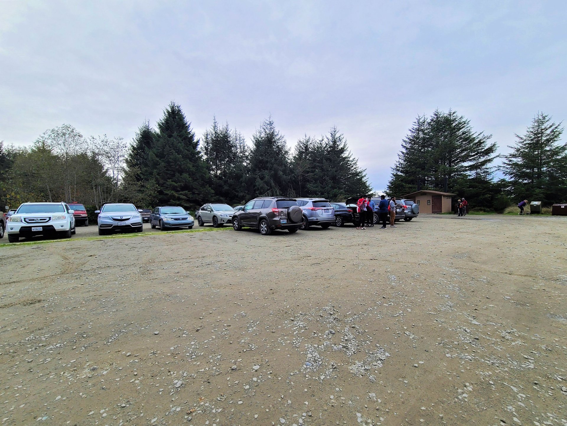 redwood national park, redwoods, fern canyon