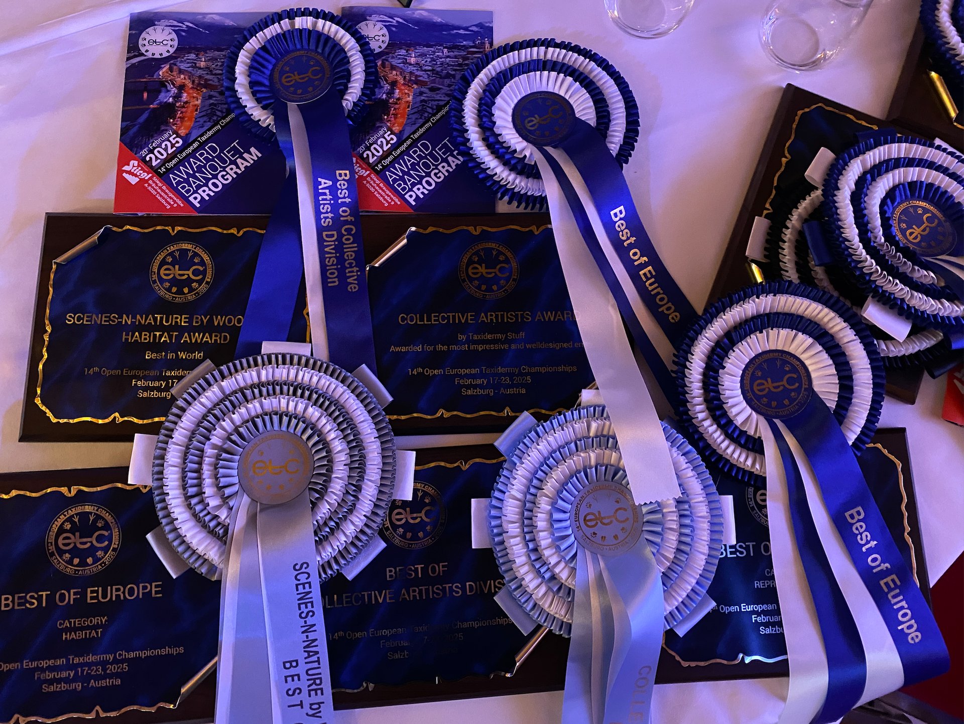 Awards that Sebastian Brandt collected at the European taxidermy championships 2025