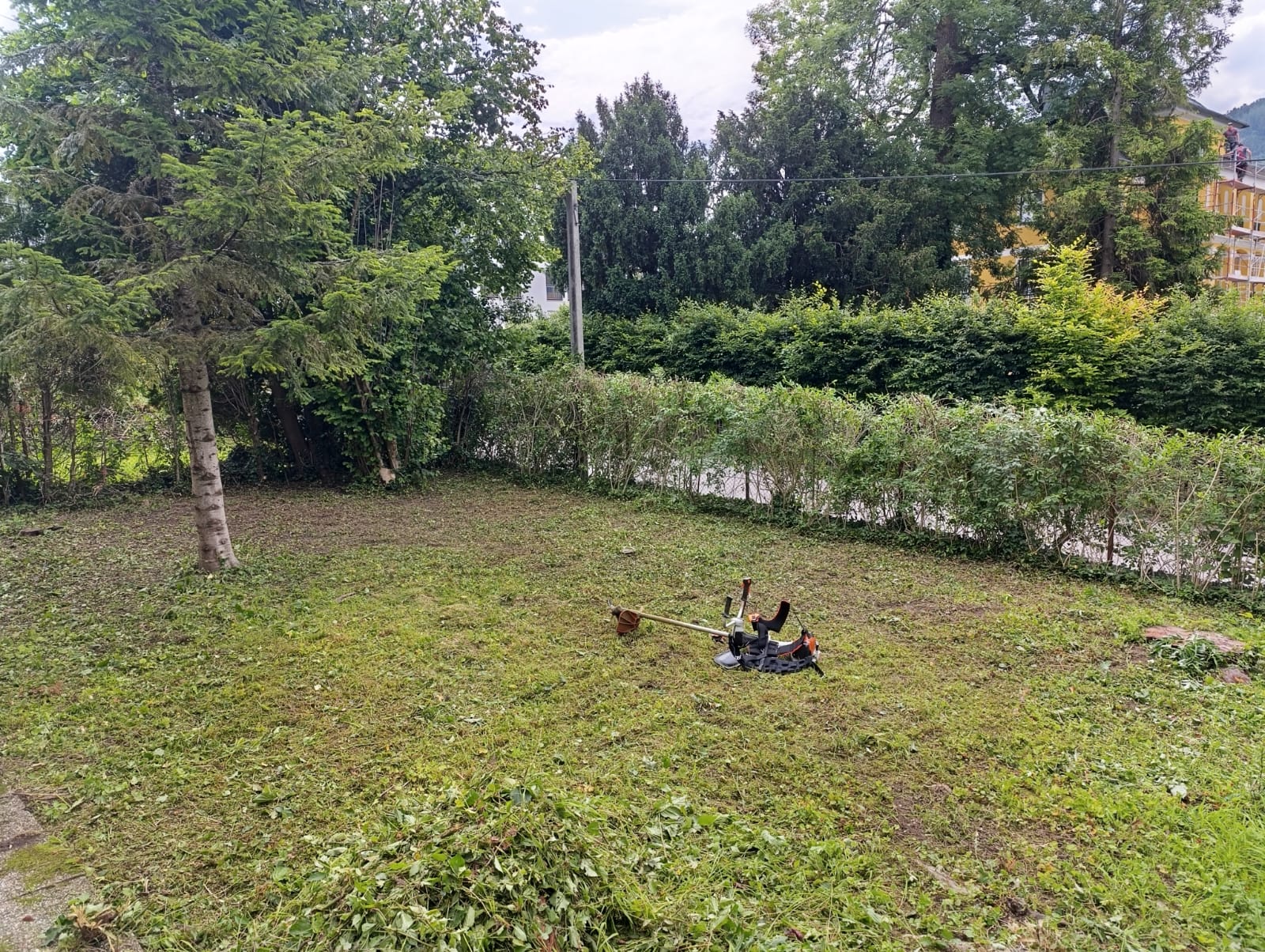 Garten-Rodung nachher