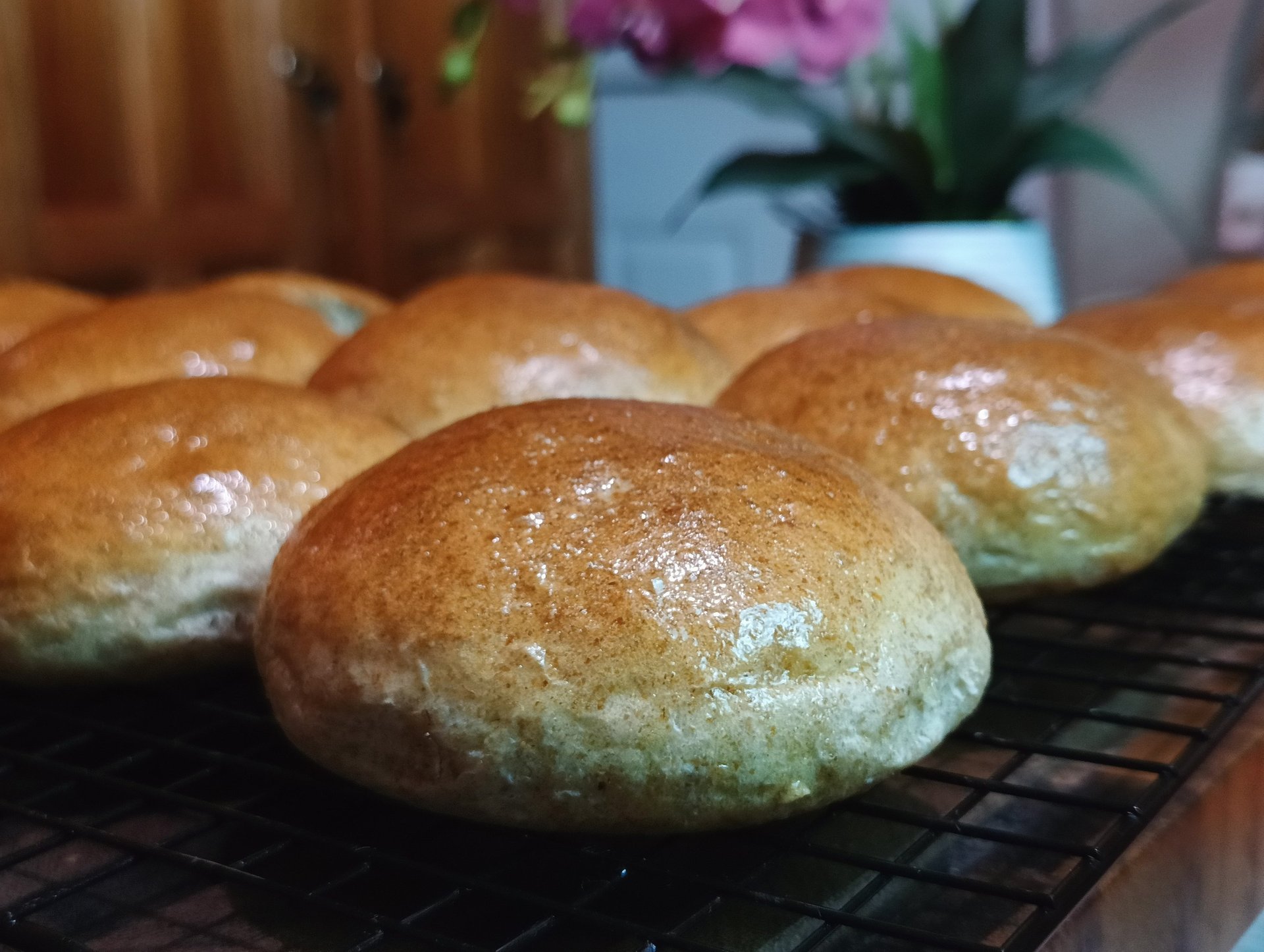 Hearty Whole Wheat Buns