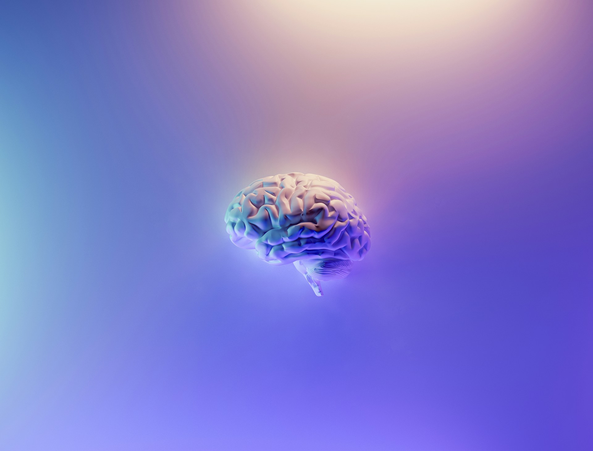 The Neuroscience of Happiness: Unlocking How Your Brain Creates Joy
