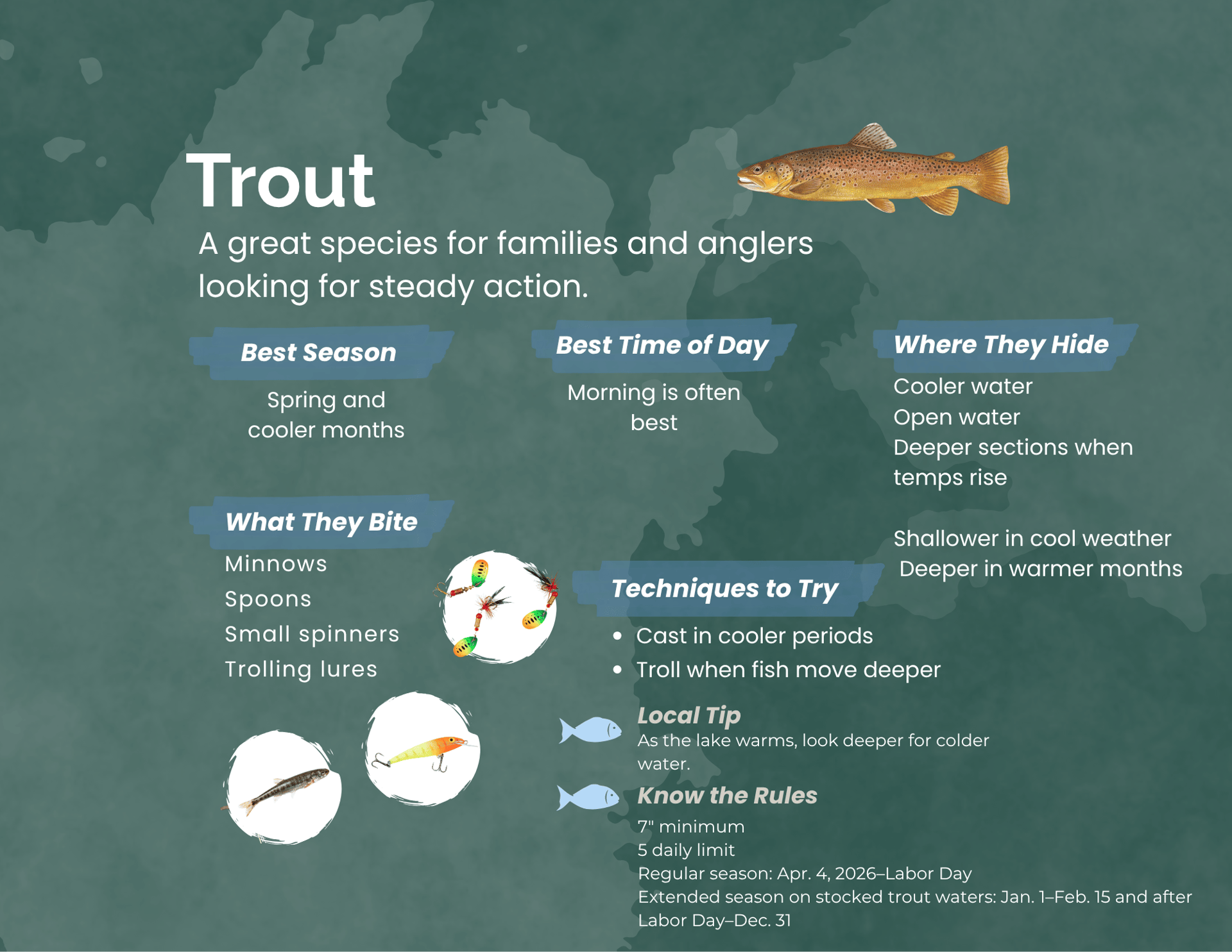 Trout fishing infographic showing best seasons, bait, and techniques for anglers.