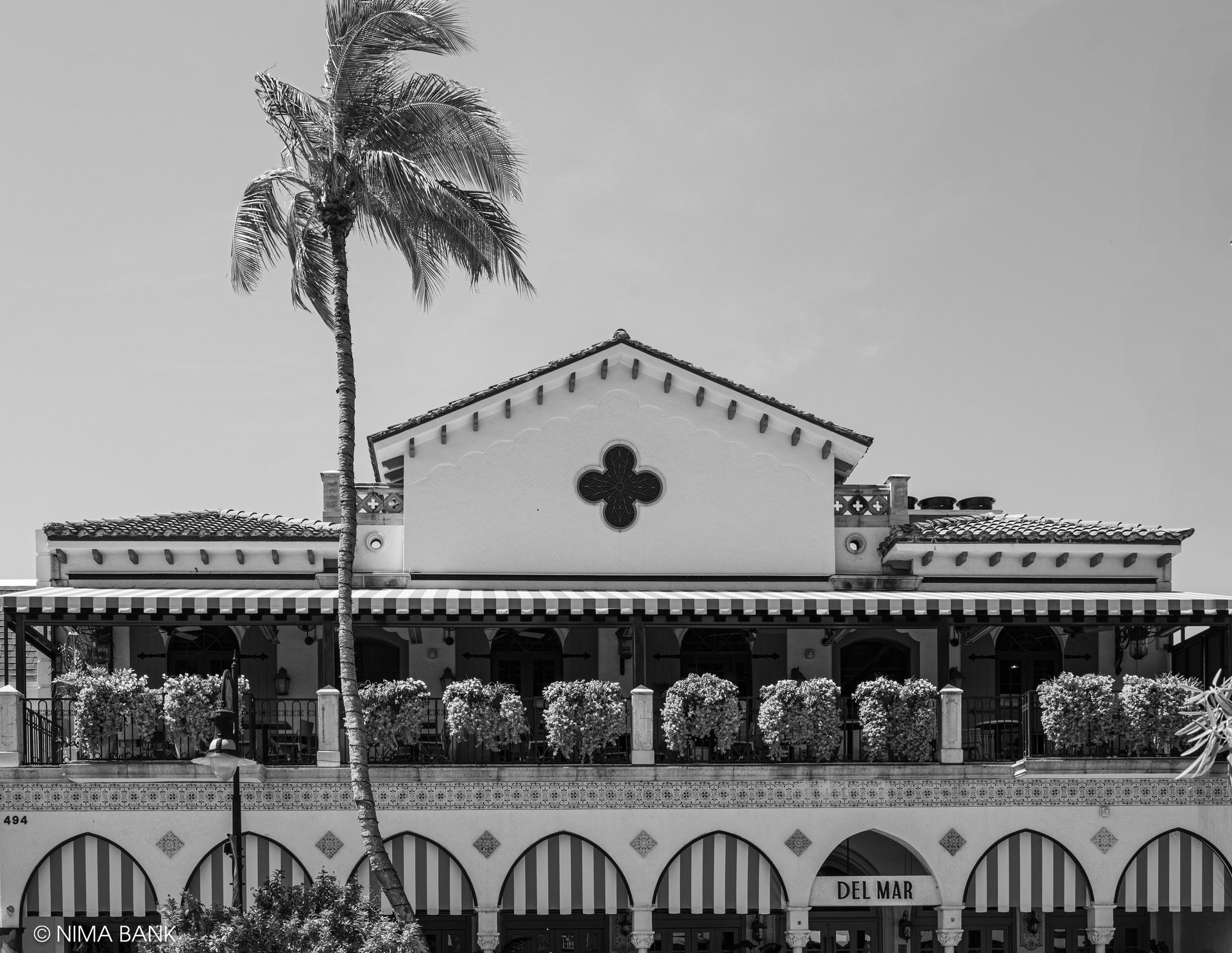 black and white shot of the del mar hotel with a tall palm tree on 5th avenue naples florida