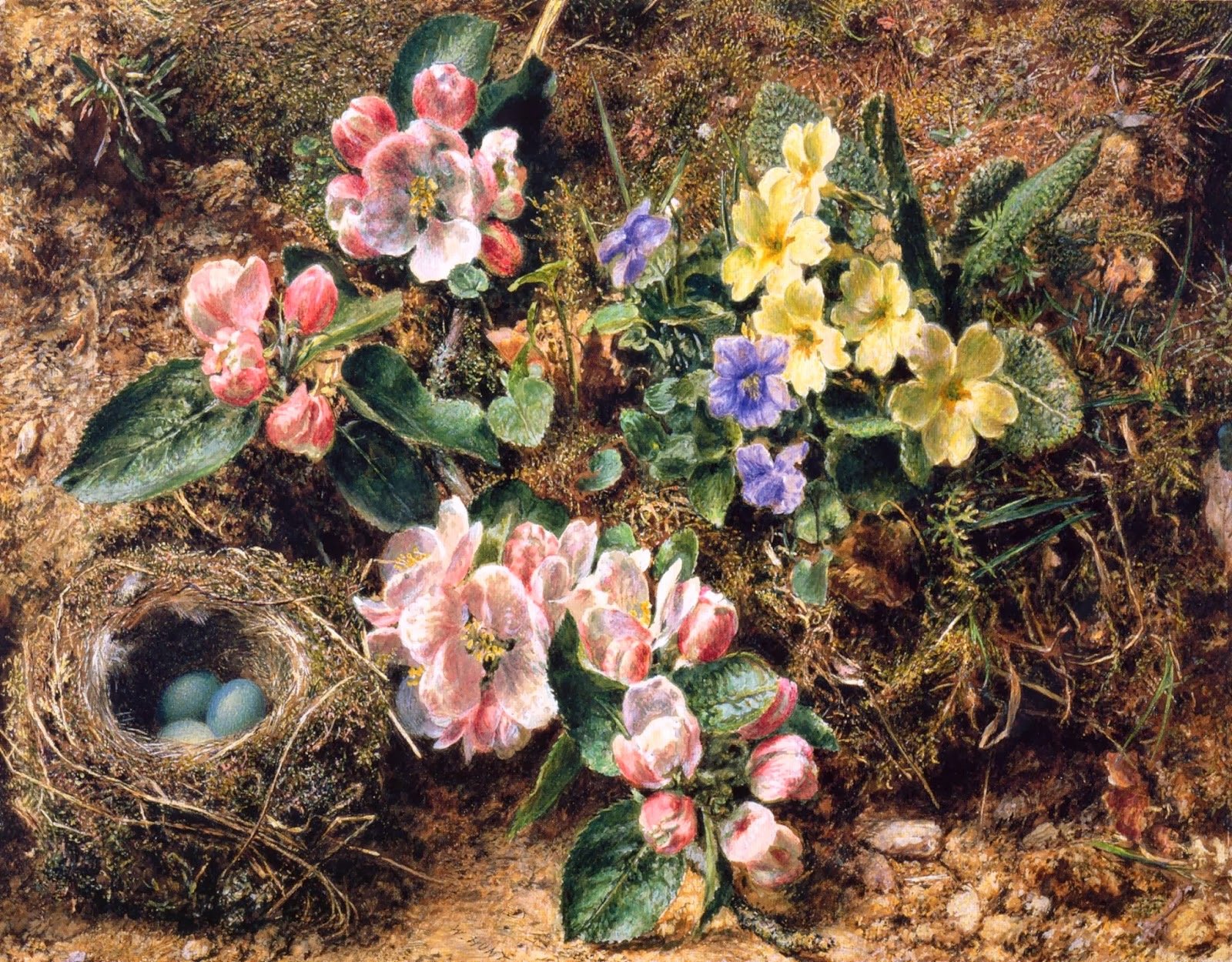 William Henry Hunt - Bird's Nest, Apple Blossoms and Primroses, 1840s