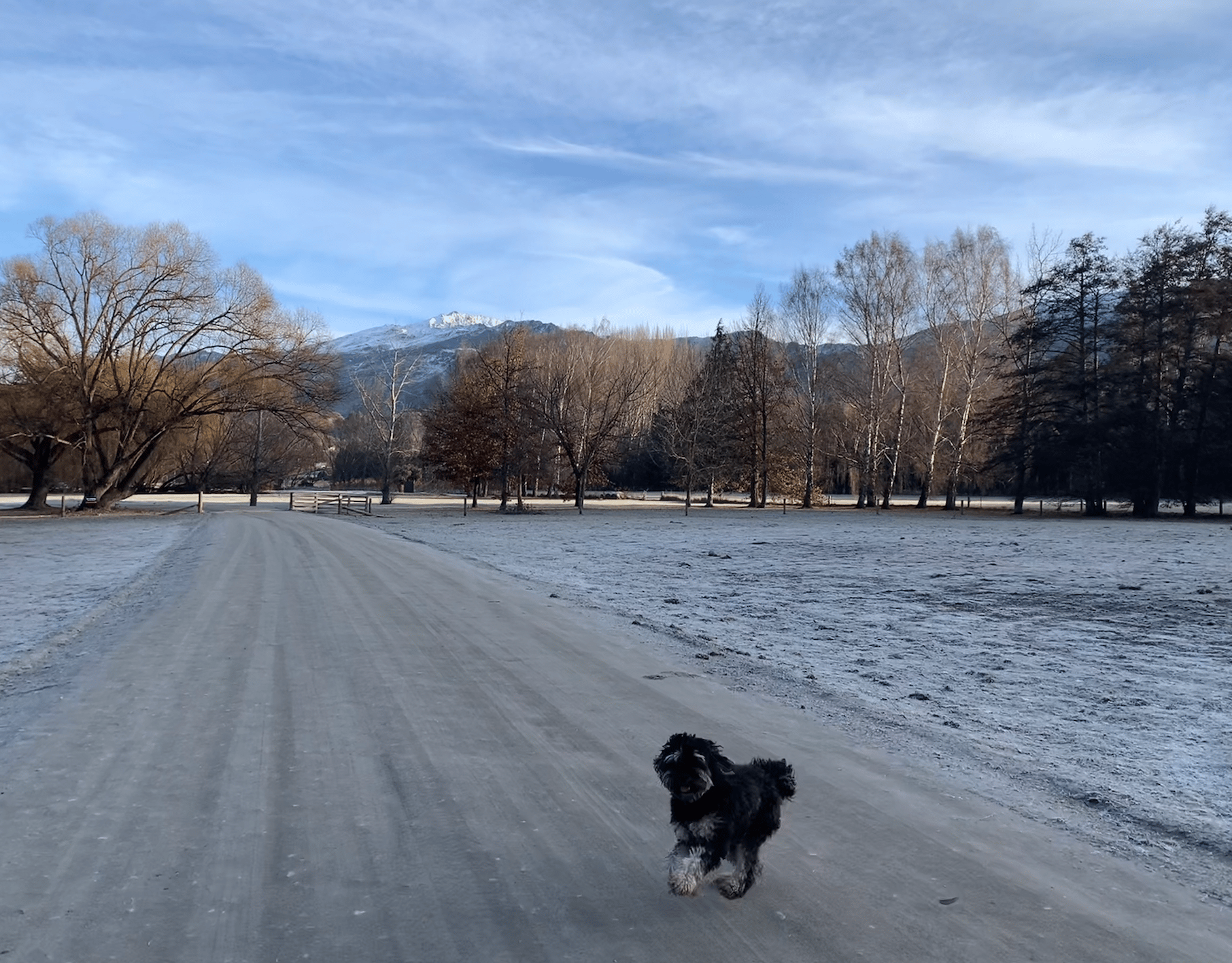 Leisure pet friendly walk