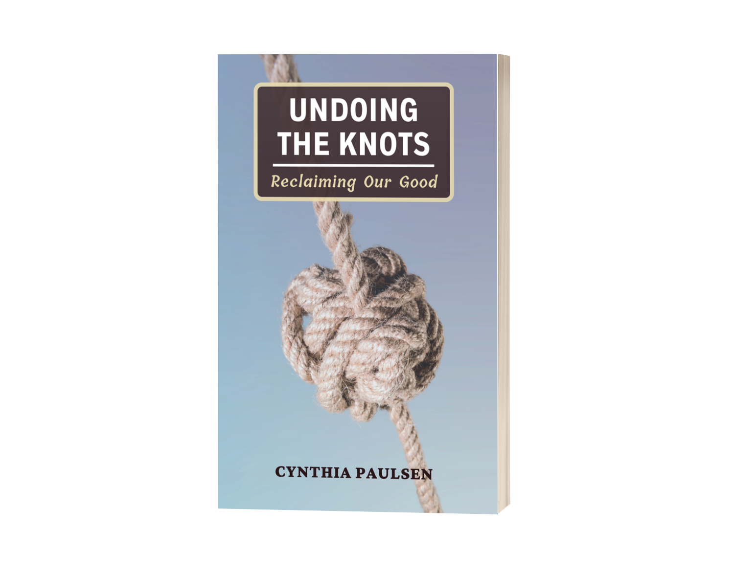 Book cover of Undoing the Knots by Cynthia Paulsen