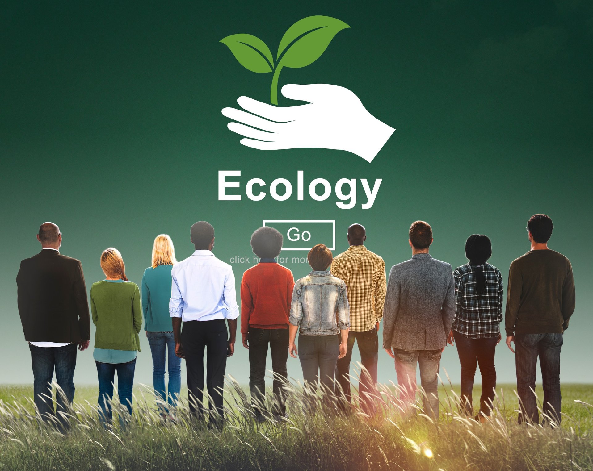 se reconvertir dans les métiers de l environnement