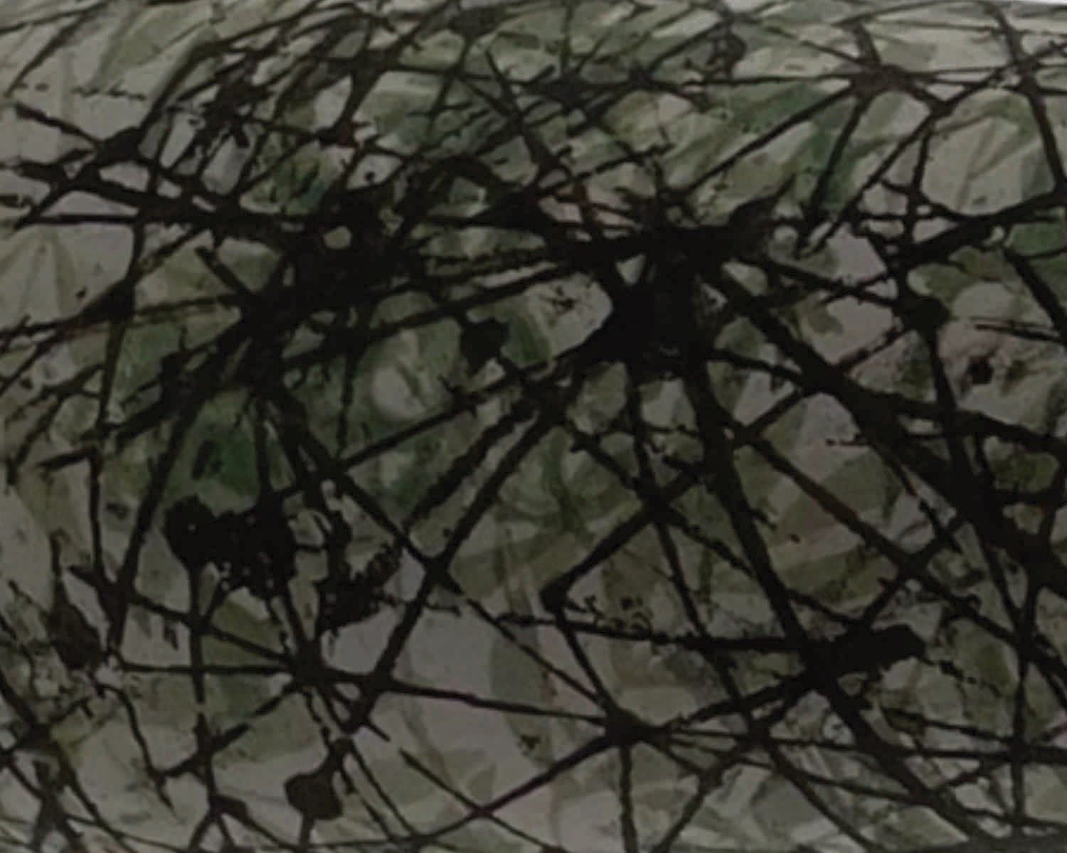 close up of green and black abstract pattern 