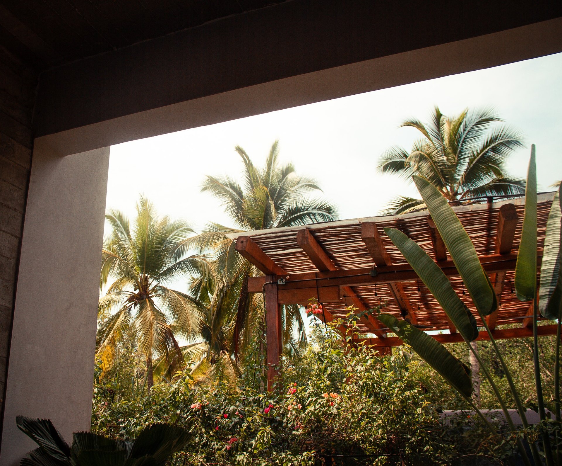 SALADITA RENTALS X GATO SURF