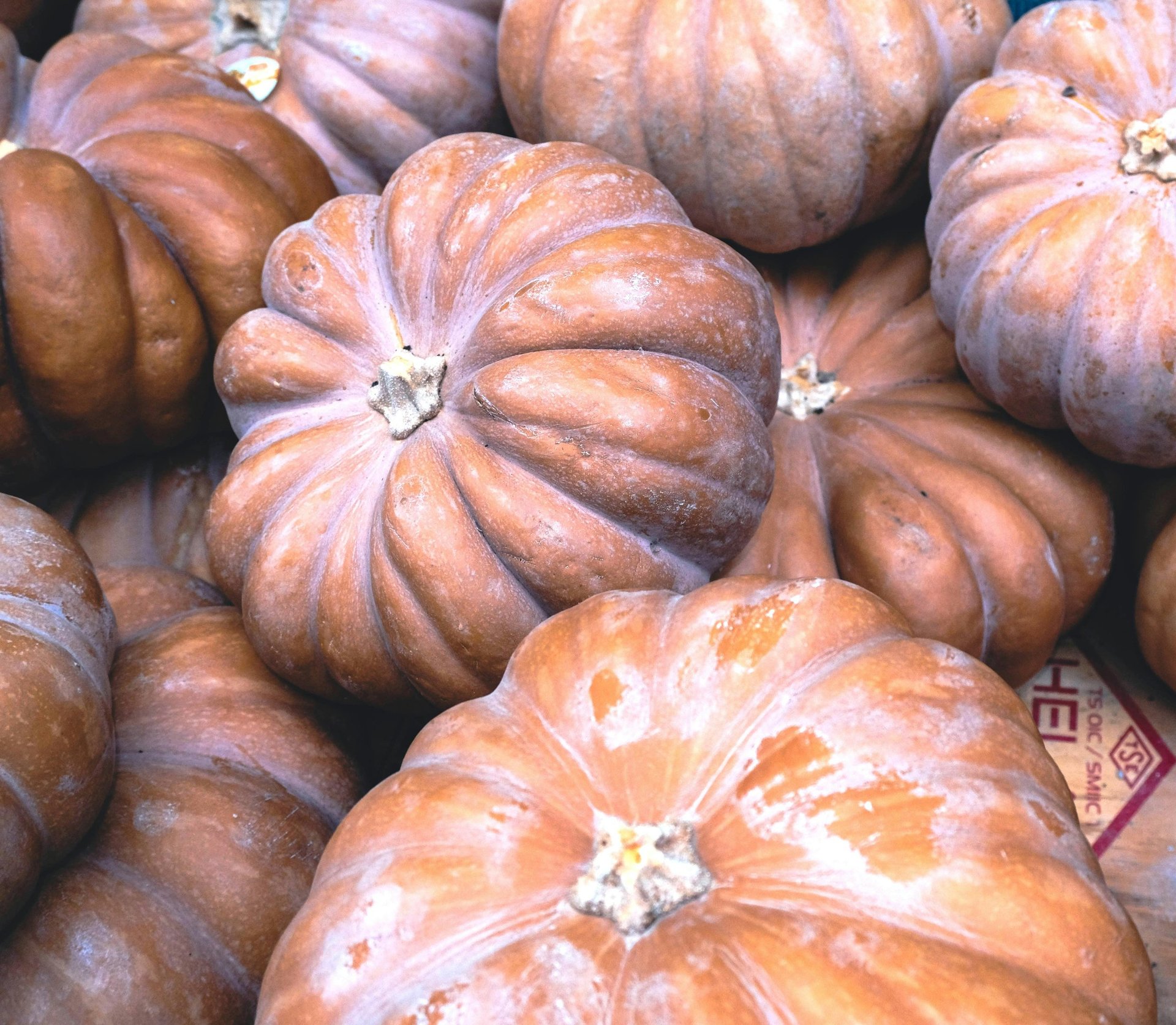 a bunch of pumpkins and other pumpkins
