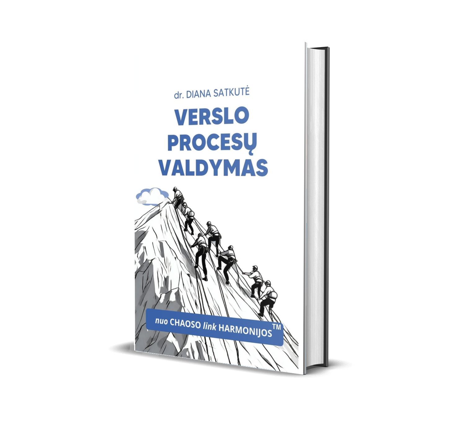 verslo procesų valdymas