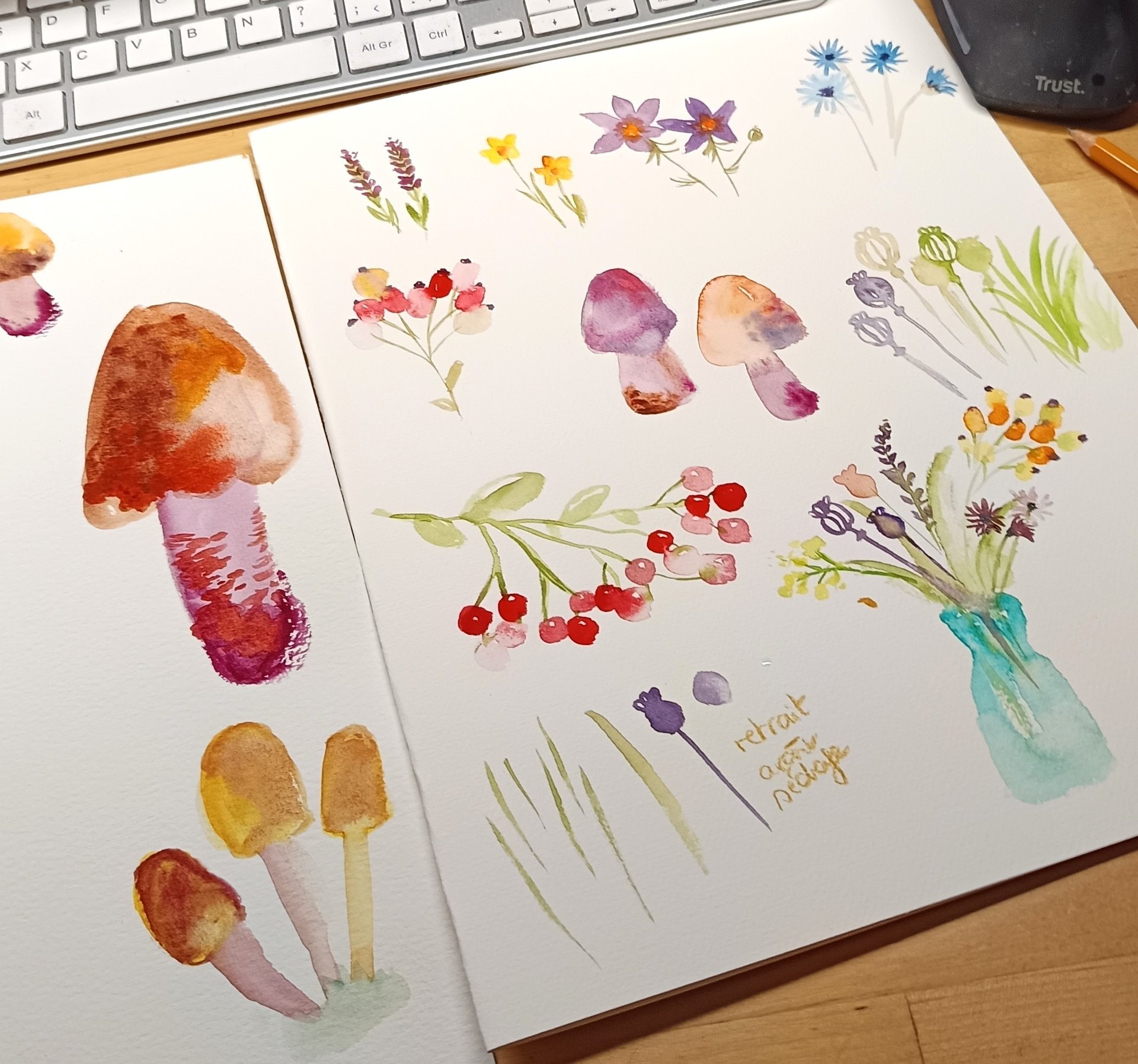 aquarelle champignons fleurs et baies réalisée pour un atelier aquarelle à Lyon