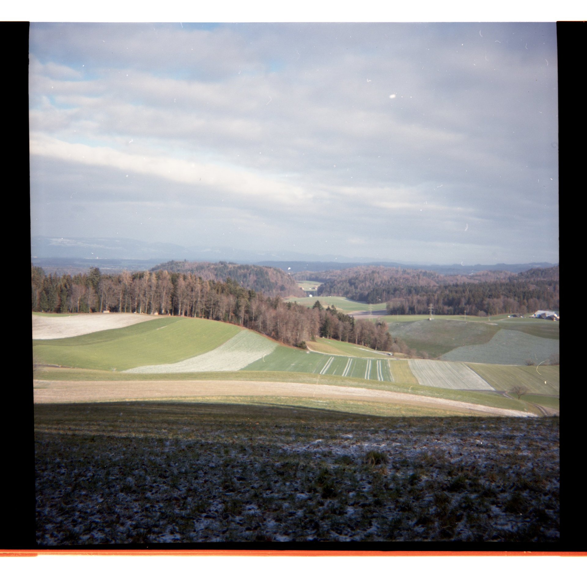 Ein malerischer Blick auf sanft grüne Hügel, Ackerland und einen dichten Wald unter bewölktem Himmel