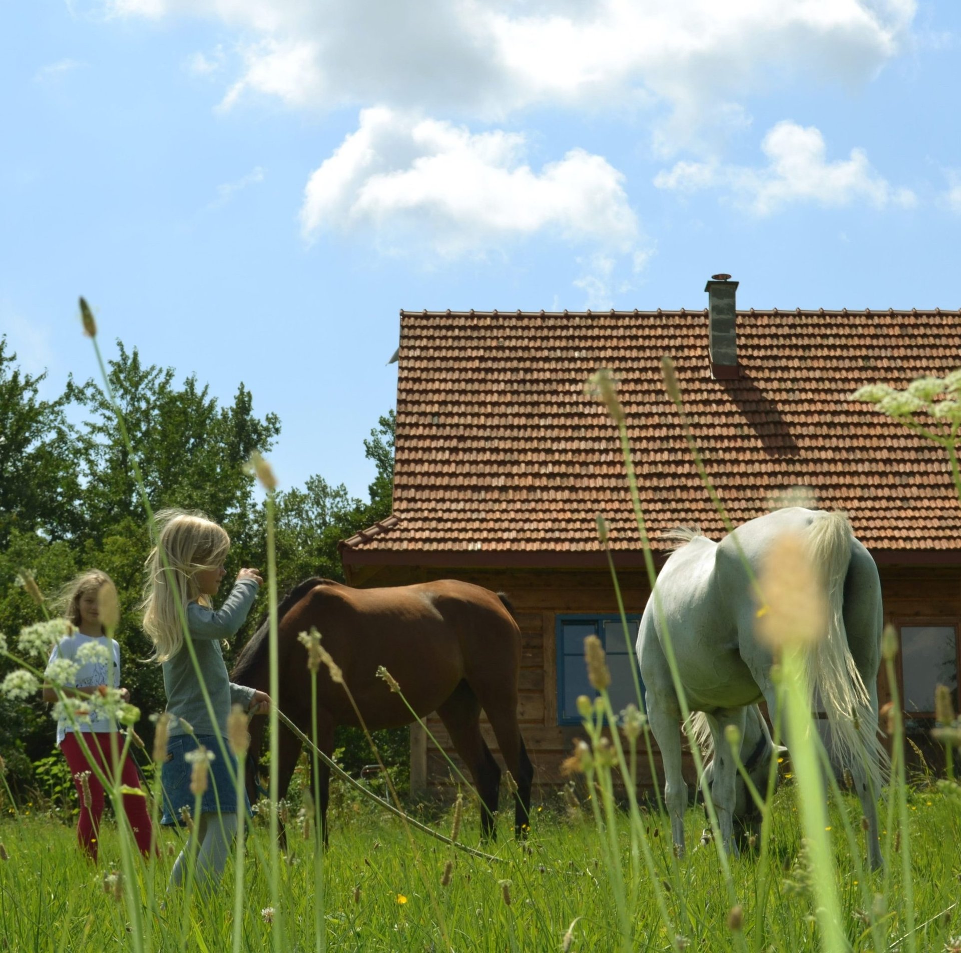 Sękiewiczówka - agroturystyka małopolska - gospodarstwo agroturystyczne dla dzieci