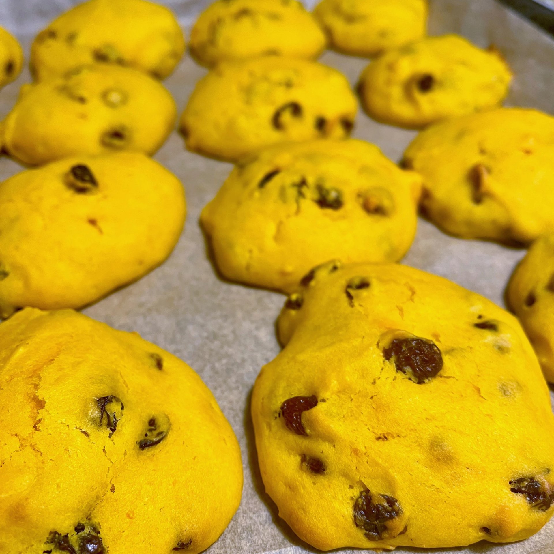 Biscuit moelleux d'automne (courge, amande et raisins). Crédit photo Terres & Graines.