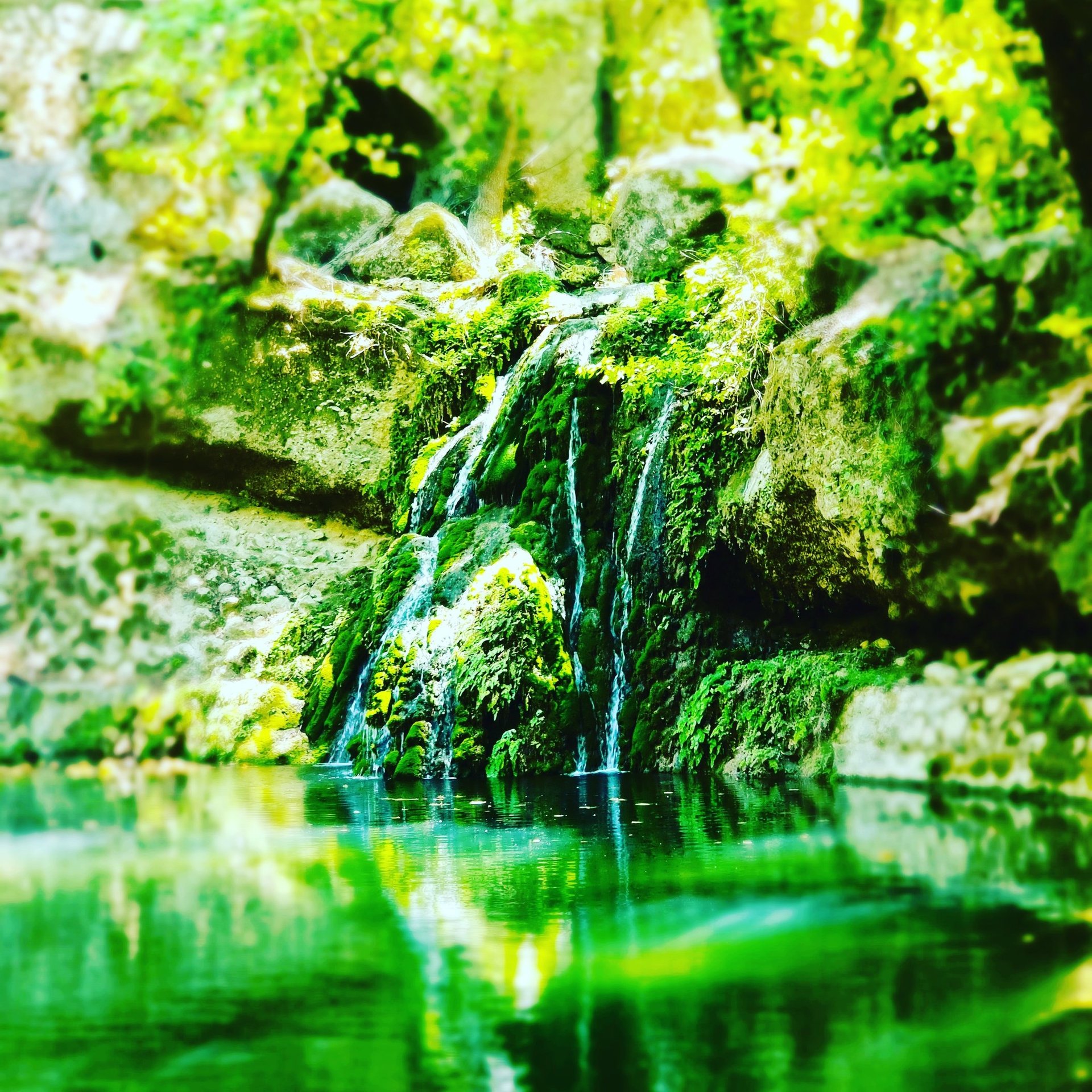 Serene small waterfall flowing over mossy rocks into a calm green pond surrounded by lush forest.