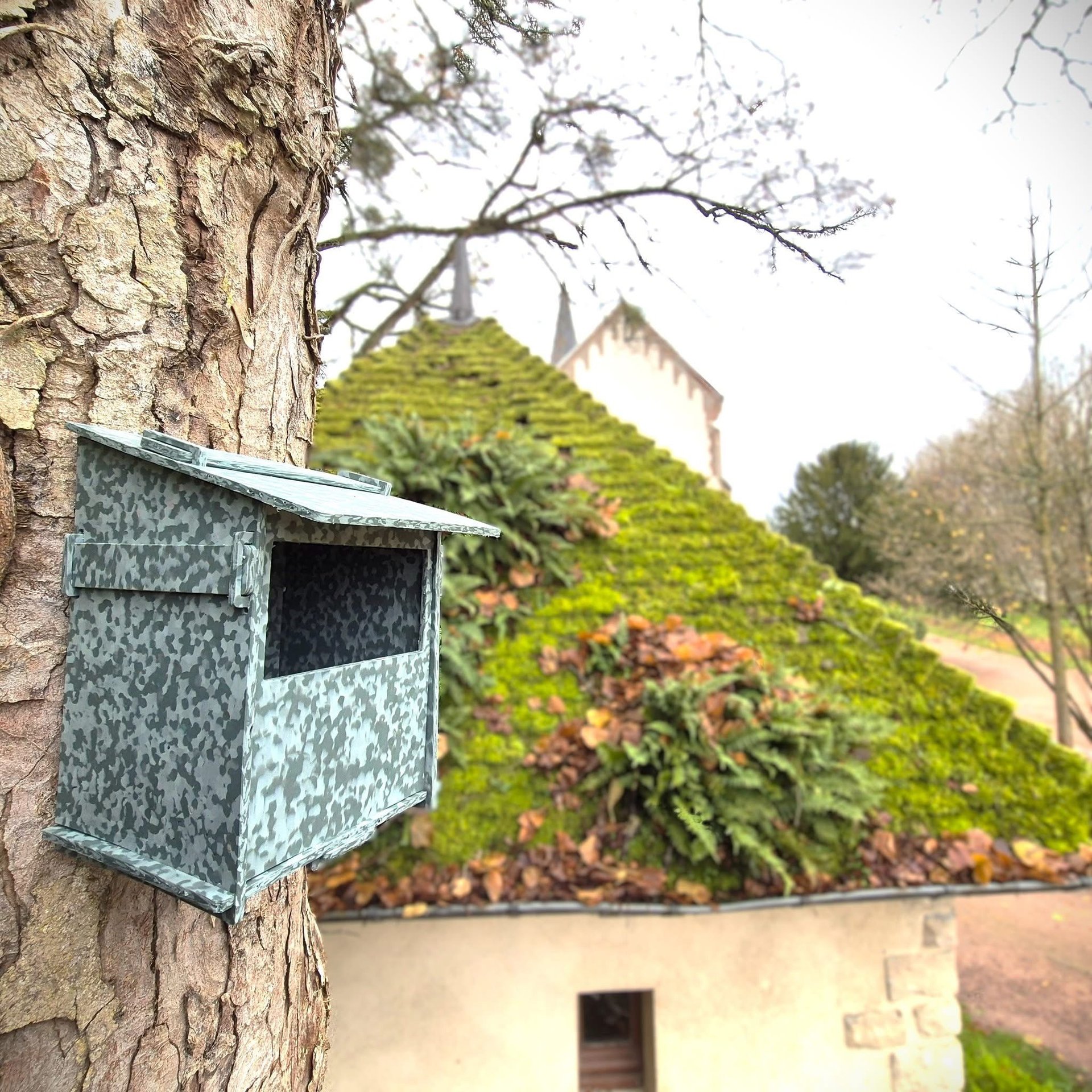 nichoir mésange, nichoir en plastique recyclé, plastnat 