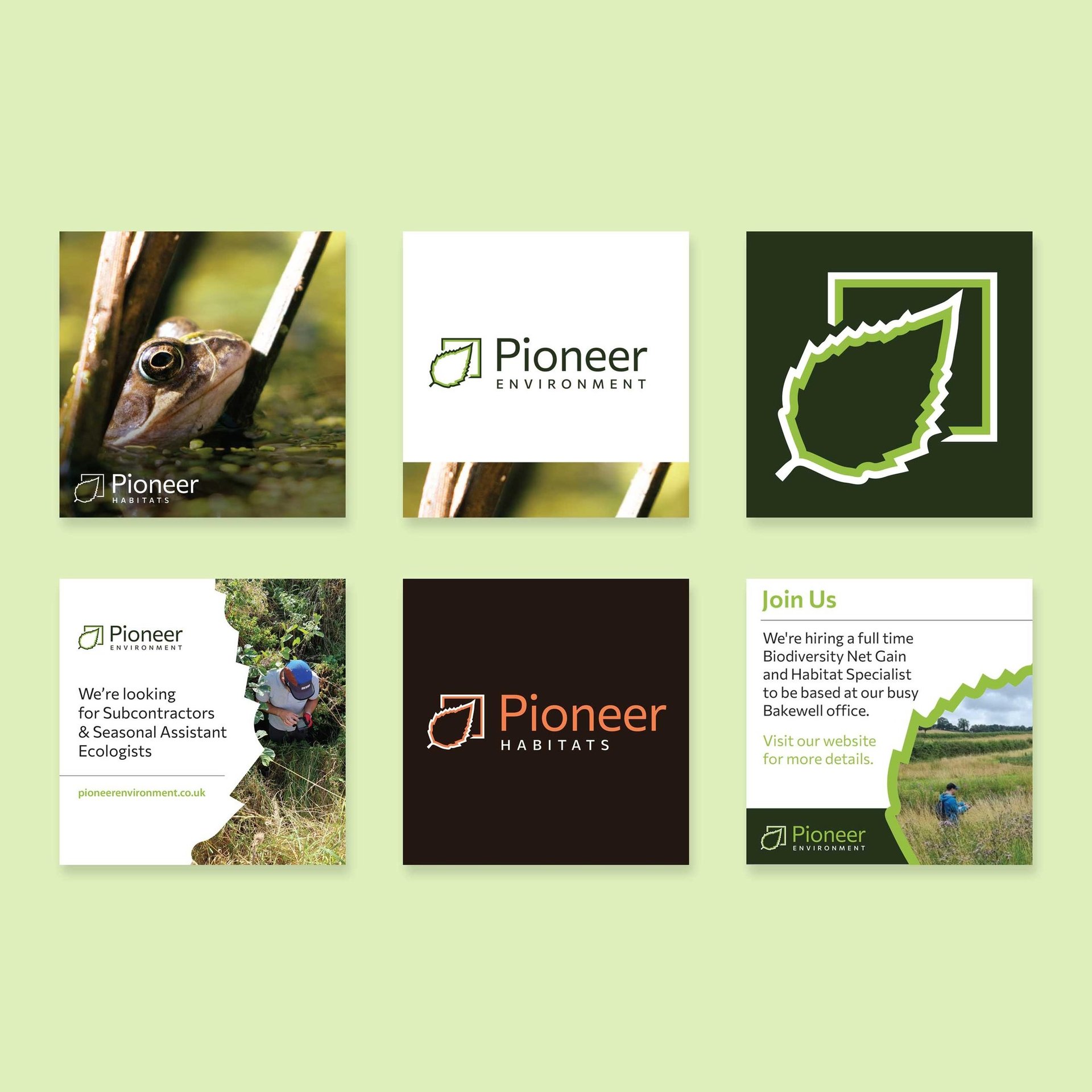 social media tiles for branded ecology company