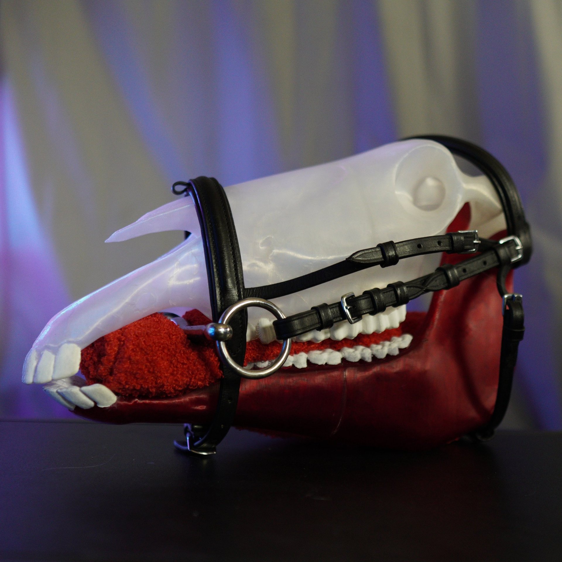 a mouthy mouth with a mouth full of teeth